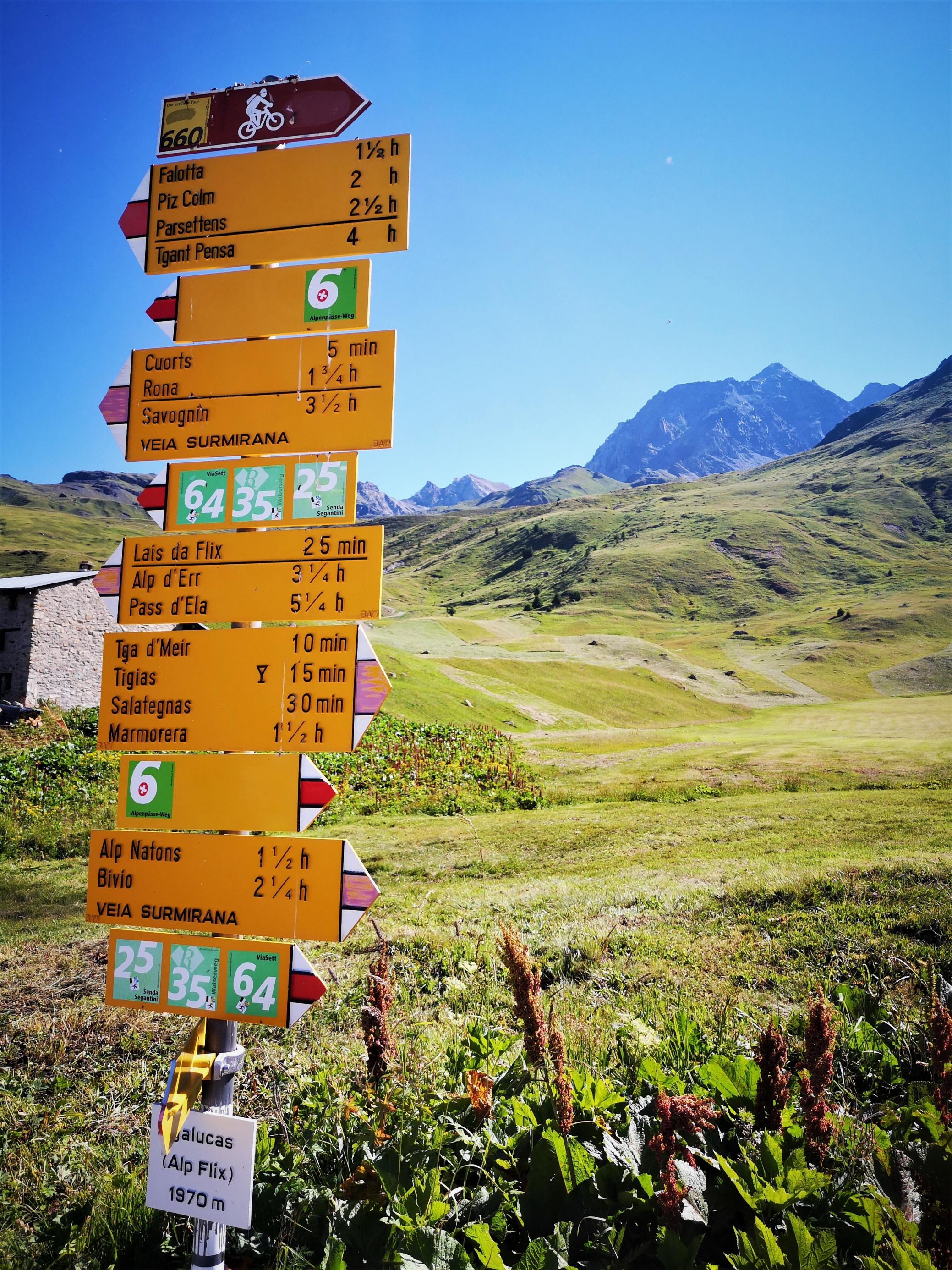 Knallgelber Schilderwald mit Hinweisen für Radfahrer und Wanderer auf der Alp Flix, hinter der ein spitzes, hohes Bergmassiv aufragt.