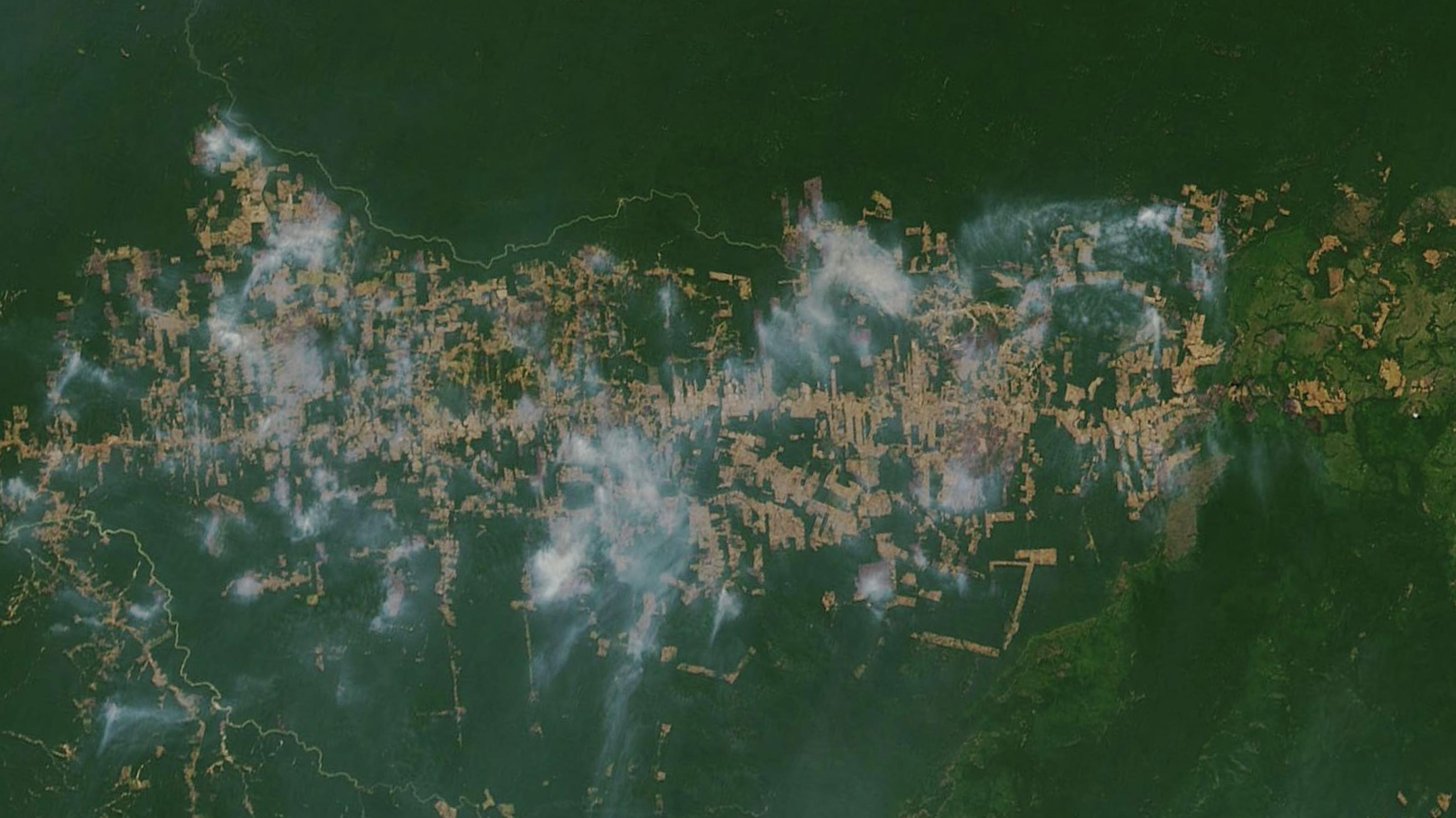 Aufnahme der Amazonas Brände im August der NASA. Man erkennt die kahlen Flächen und den Rauch.
