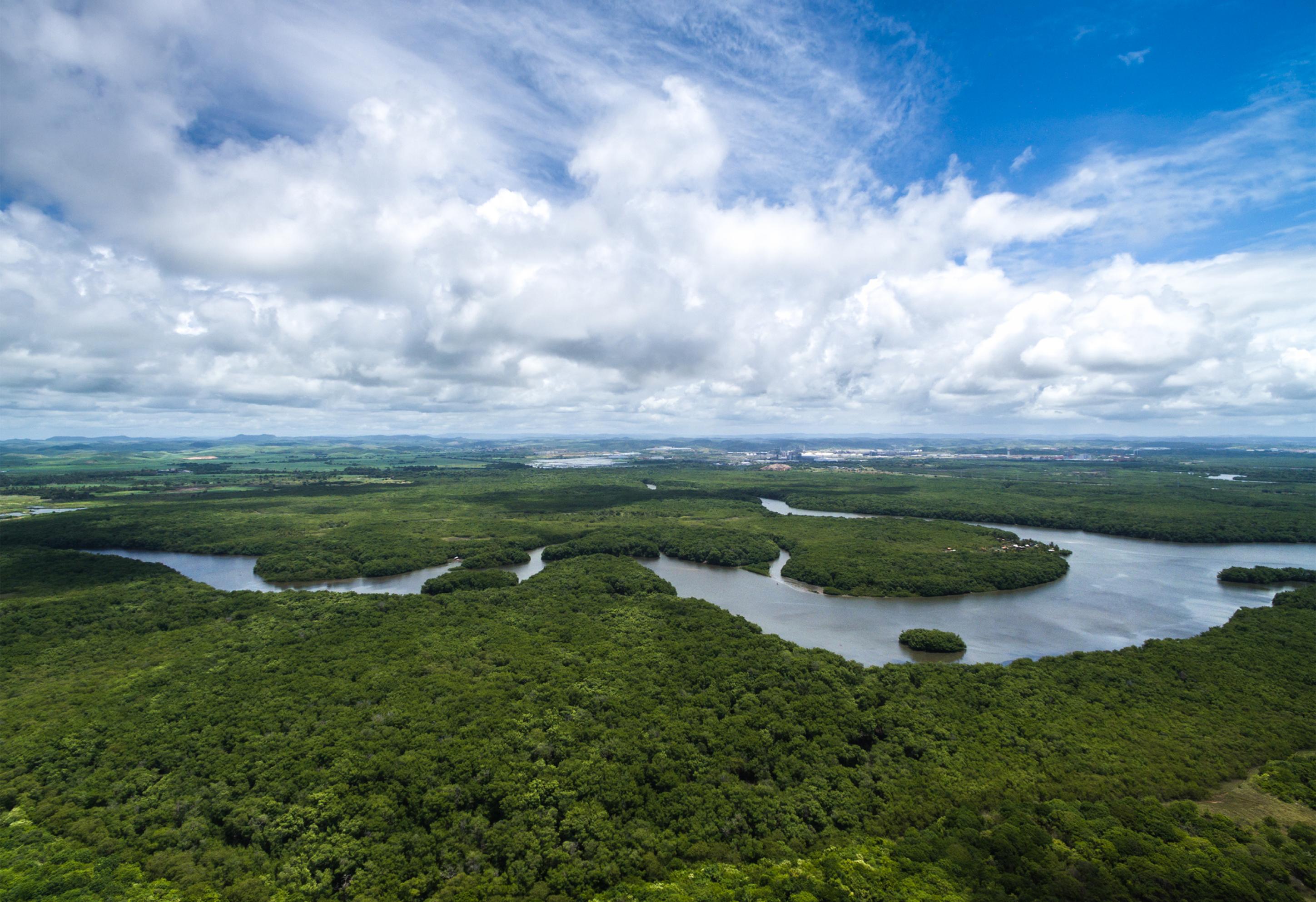 Lufbild Amazonas mit Flussschlinge und viel Wald