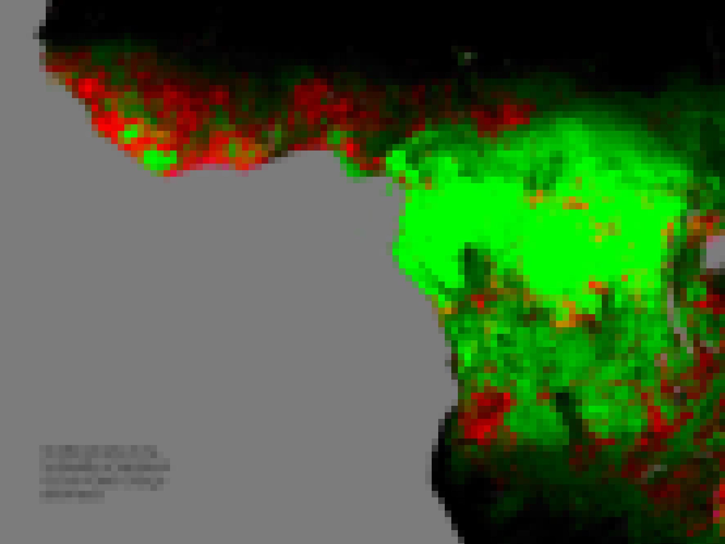 Veränderung der Waldfläche im tropischen Afrika in den Jahren 2000 bis 2018