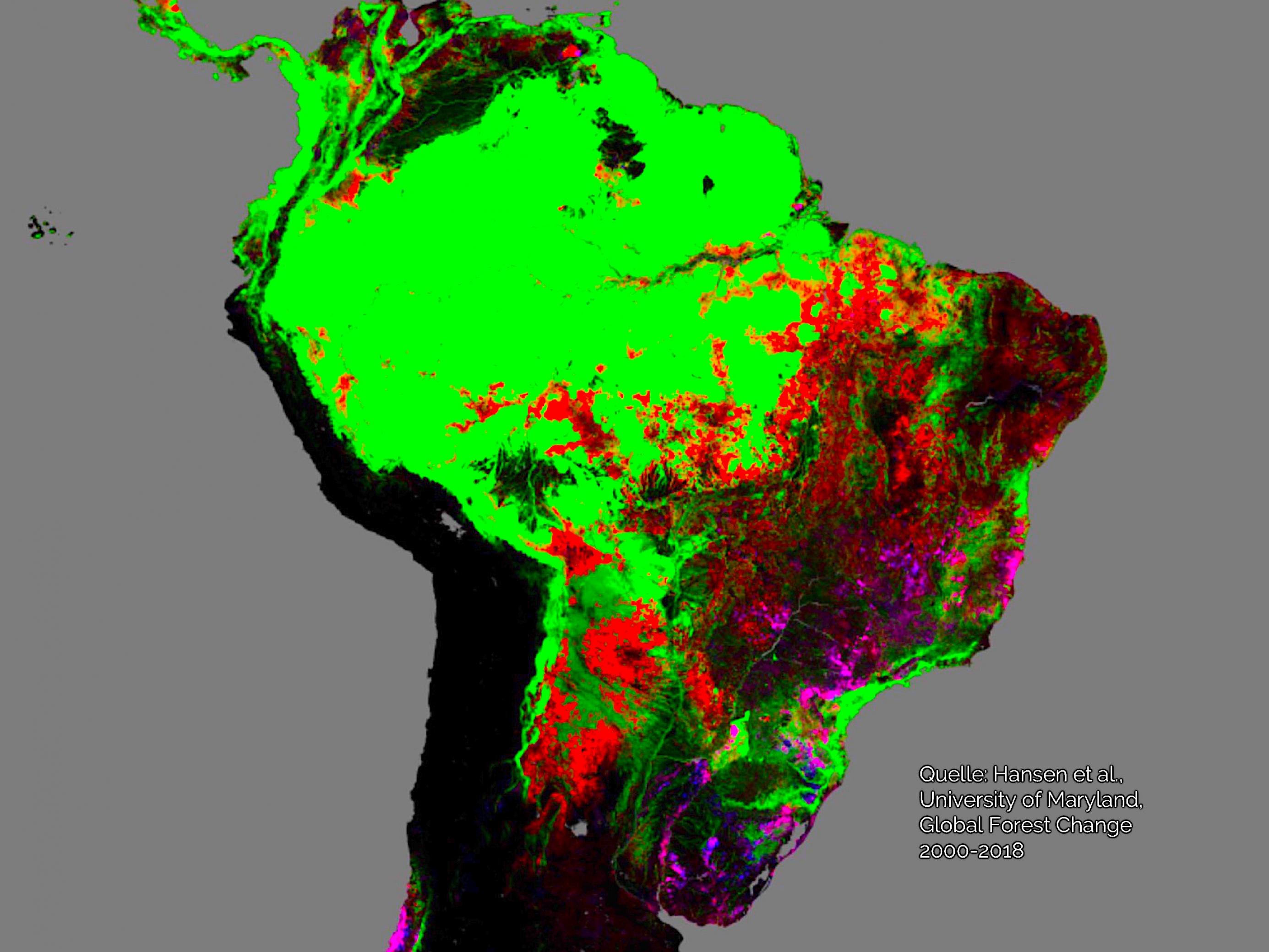 Die Landkarte zeigt entwaldete Flächen im Amazonasgebiet.