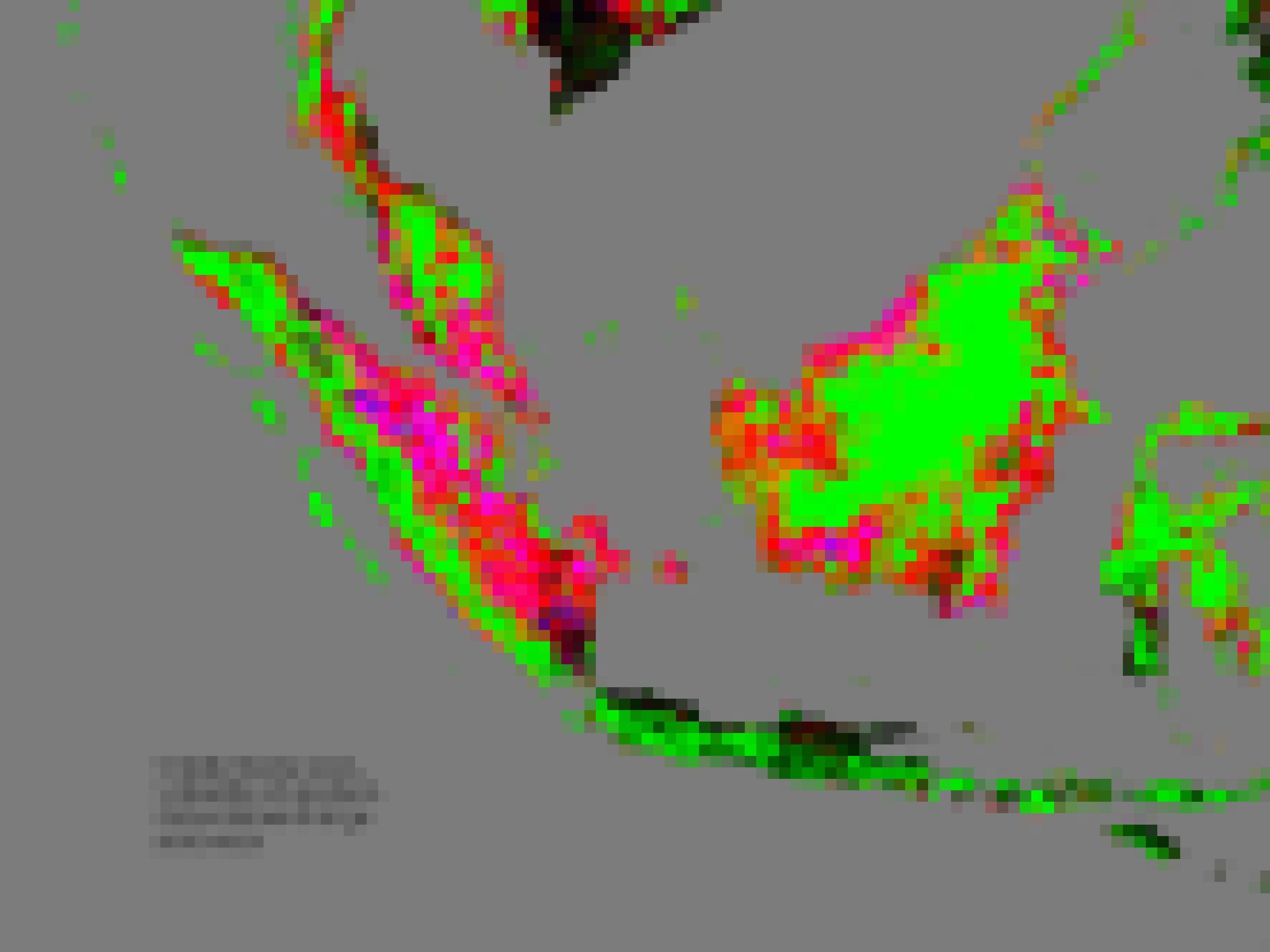 Veränderung der Waldfläche in Indonesien in den Jahren 2000 bis 2018. Die Landkarte zeigt starke Waldverluste.