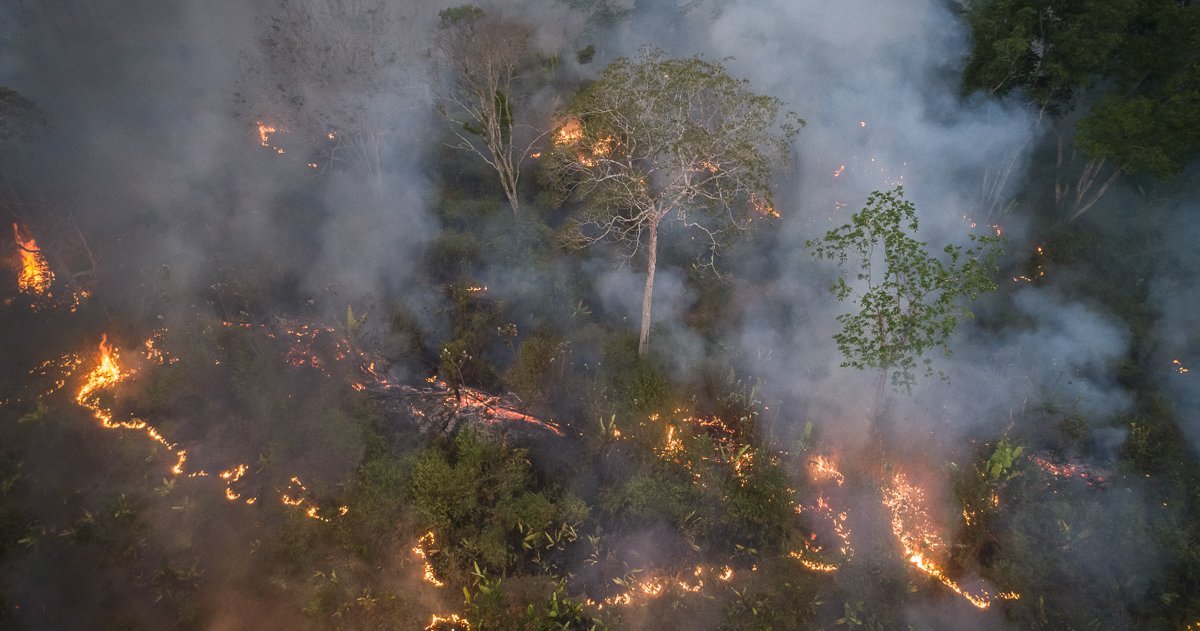 Klimawandel bedroht Amazonas und indirekt Afrikas Savannen