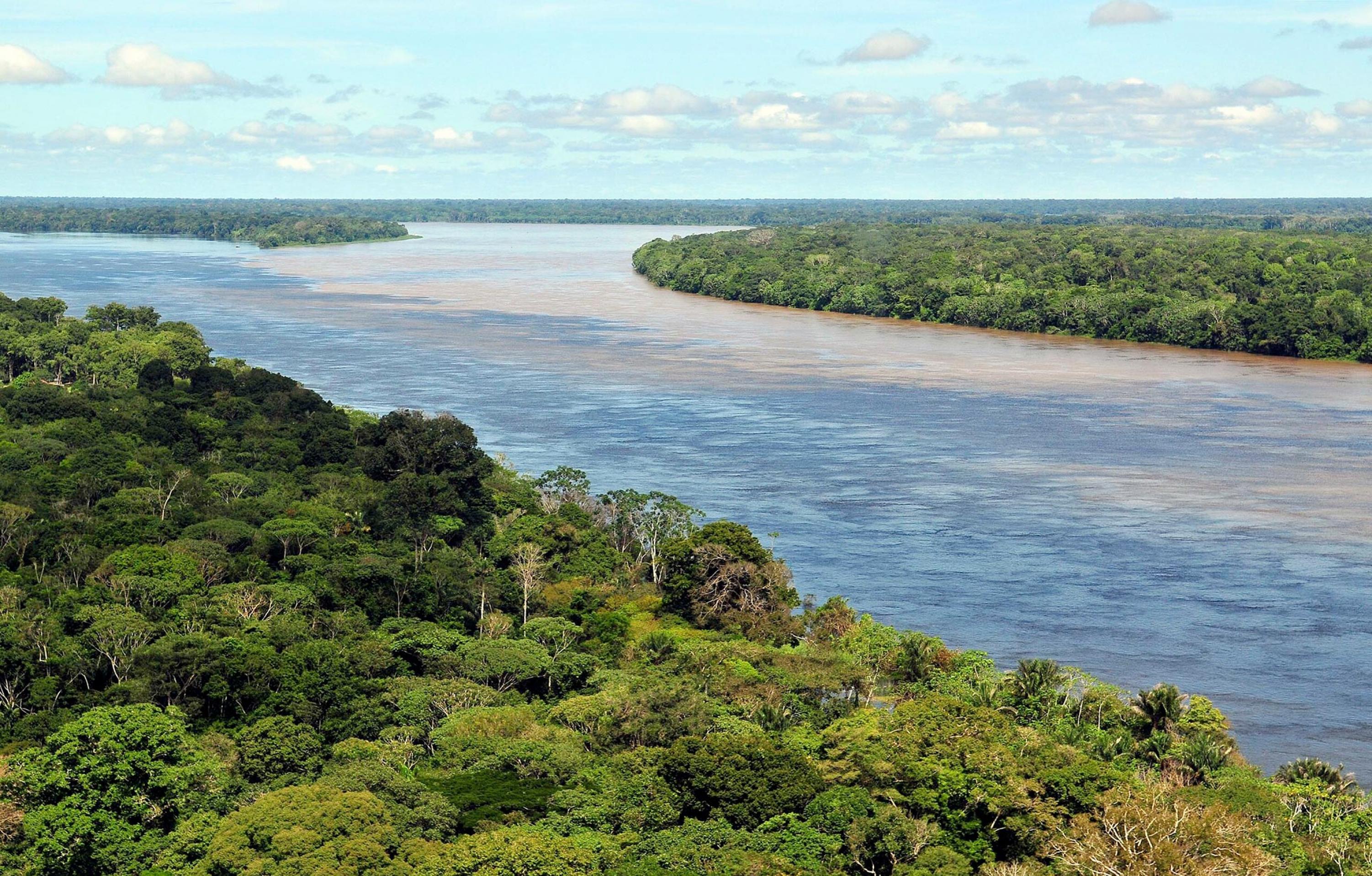 Eine Regenwald-Landschaft wird von einem großen Fluss durchschnitten.