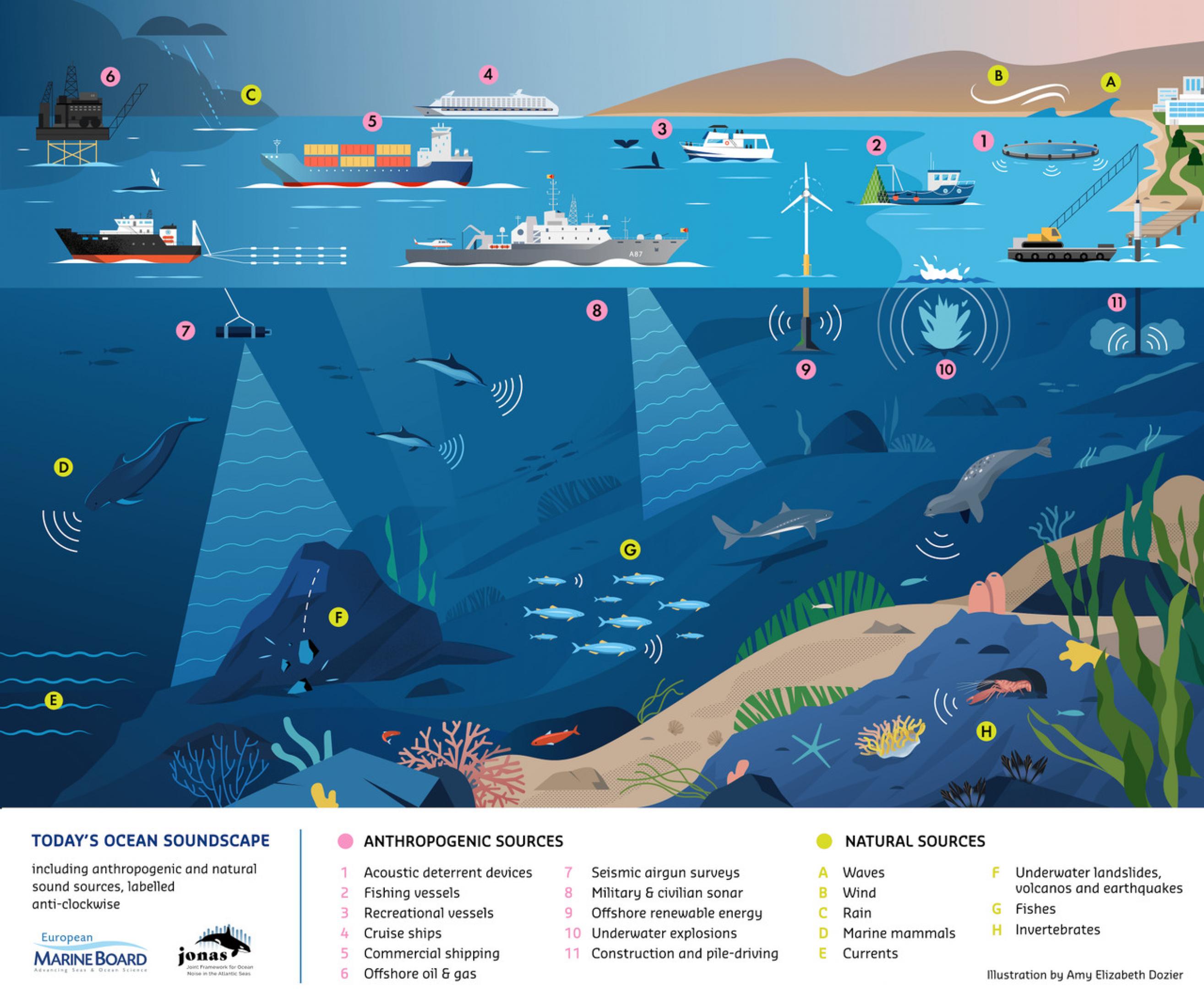 Die Illustration von Amy Dozier zeigt die vielen verschiedenen Schallquellen, die das Mittelmehr akustisch verschmutzen und denen die Wale im Mittelmeer ausgesetzt sind