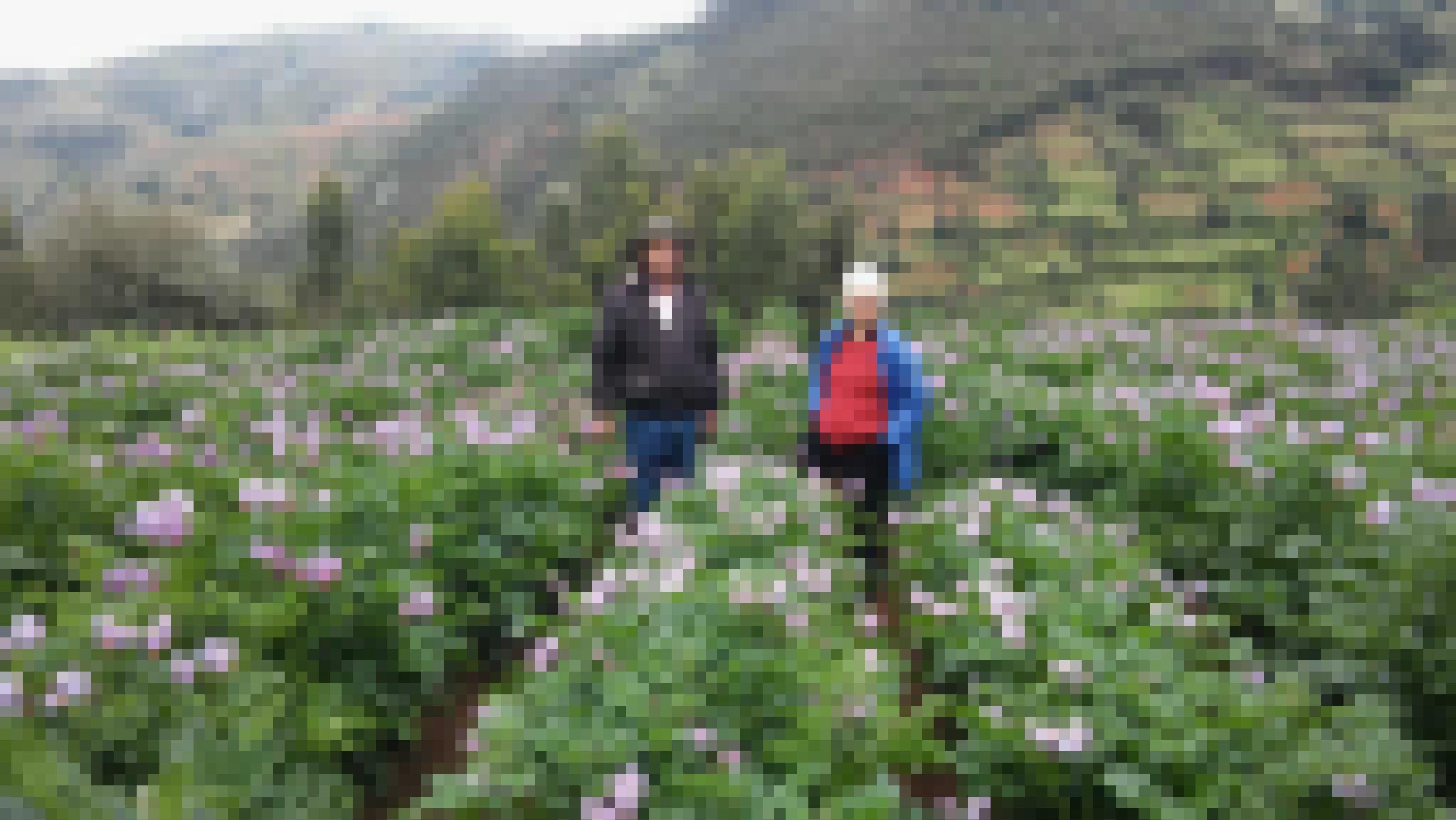 Landschaftsbild, im Hintergrund ein Berg, im Vordergrund grüne Pflanzen mit lila Blüten, blühende Kartoffelpflanzen. Mitten drin ein Mann mit Hut und eine weisshaarige Frau mit Anorak und rotem Pulli.