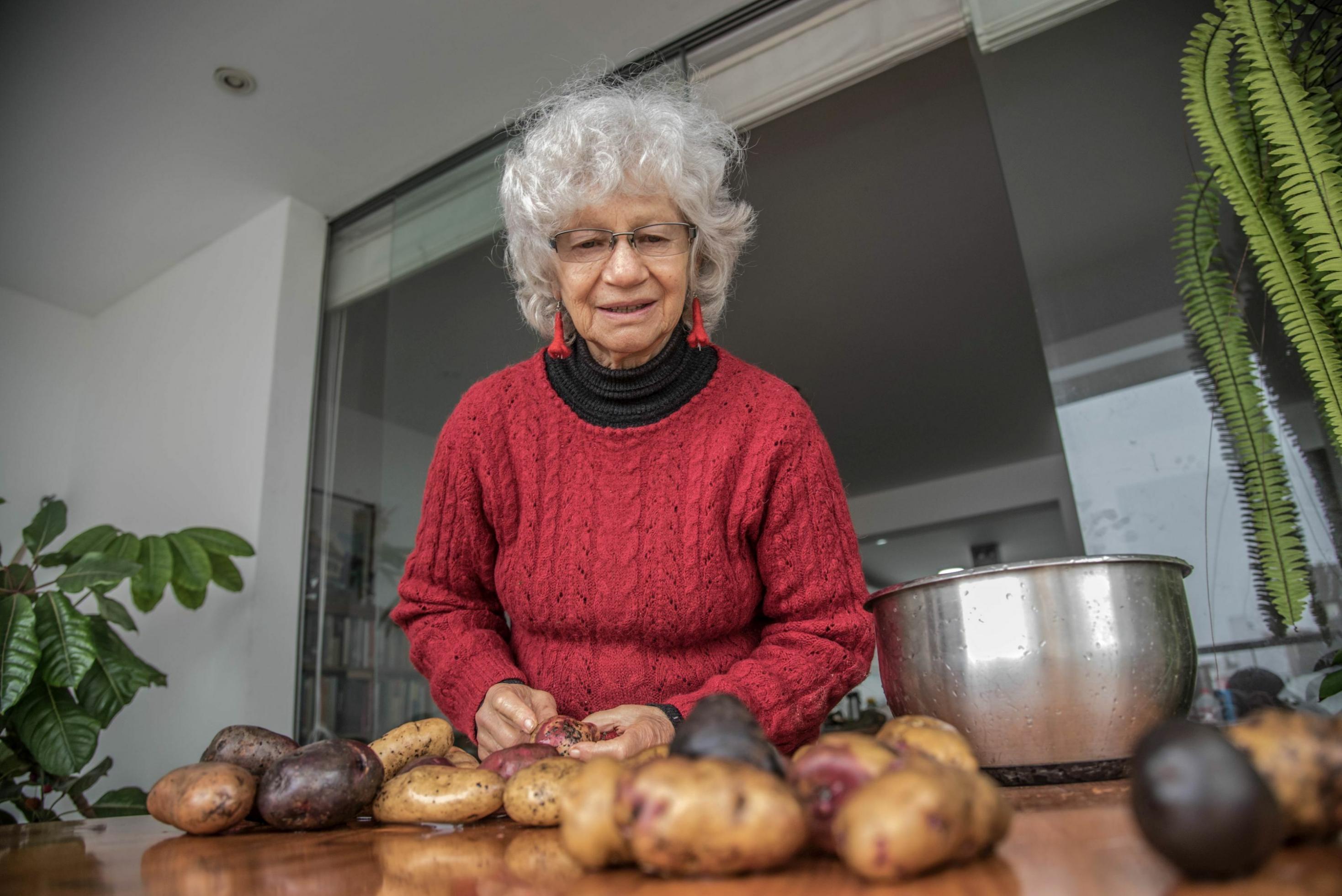 75-jährige Frau mit weißen Locken und runzligem Gesicht und rotem Wollpullover steht an einem Tisch und begutachtet Kartoffeln.