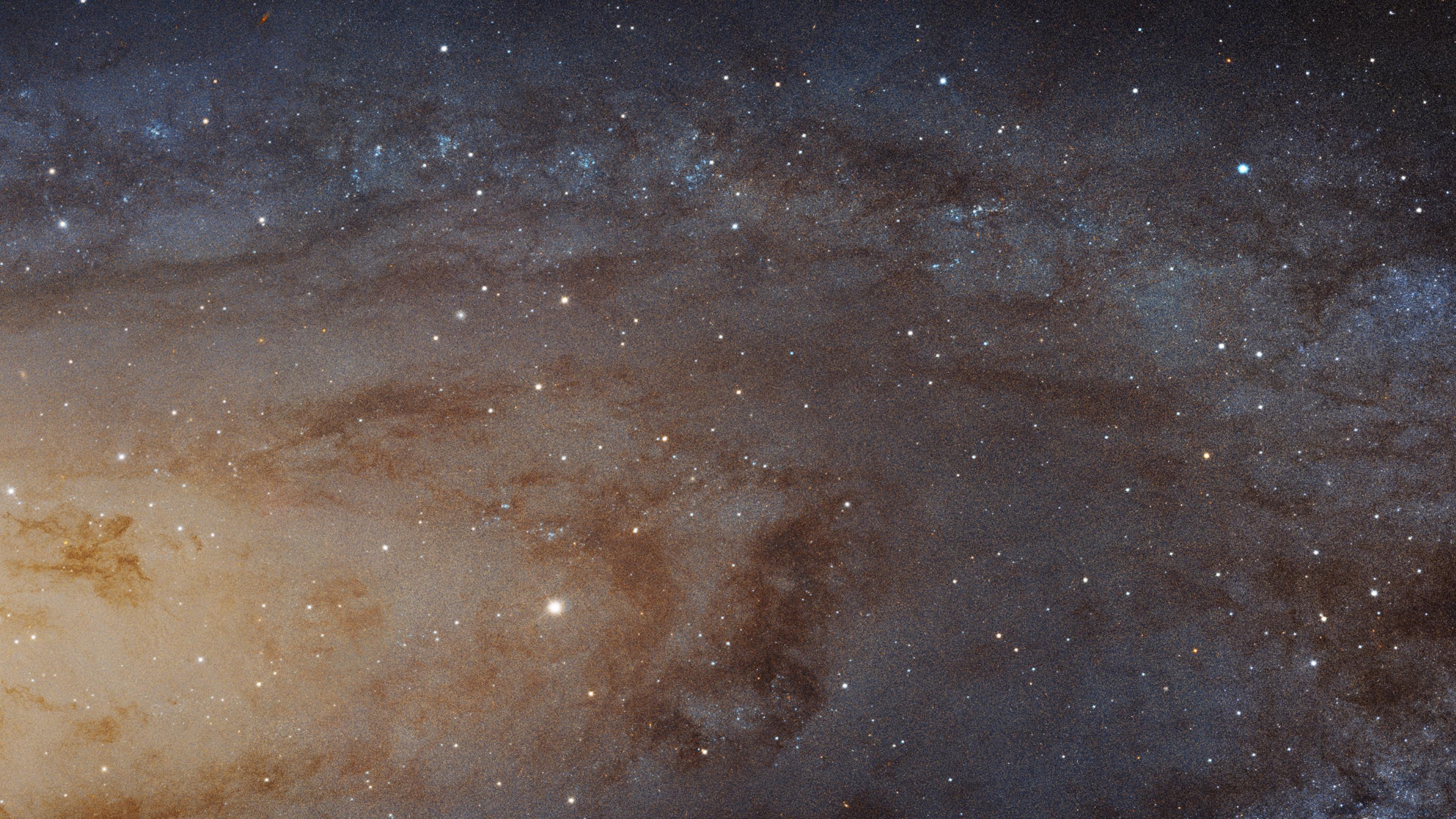 Ausschnitt der Andromedagalaxie, im linken, sehr hellen Bildteil sind die Sterne im Zentrum der Galaxie dicht gepackt, weiter rechts stehen die Sterne weiter auseinander.