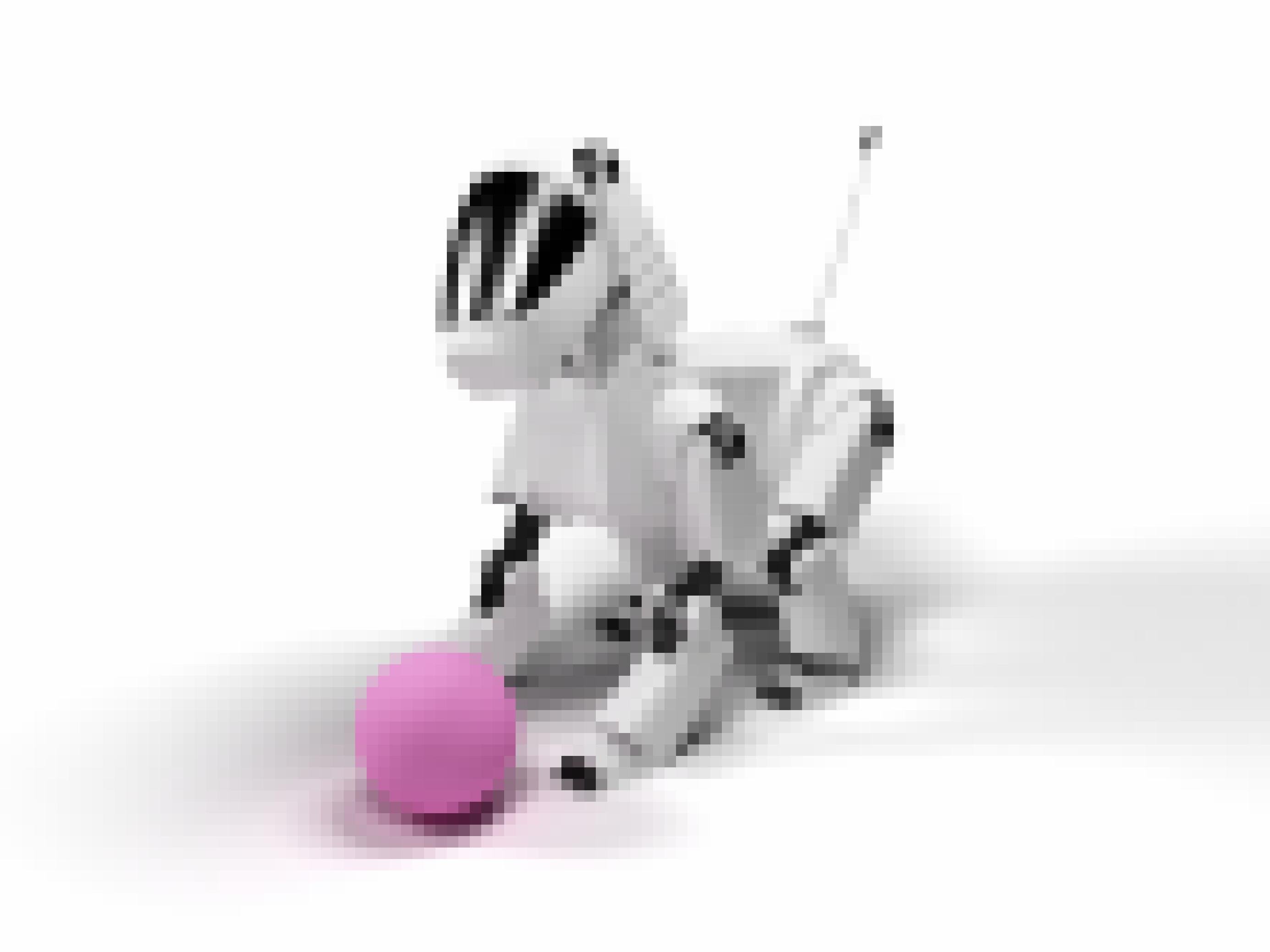 Ein weißer Roboterhund mit pinkfarbenem kleinem Ball vor den Vorderpfoten