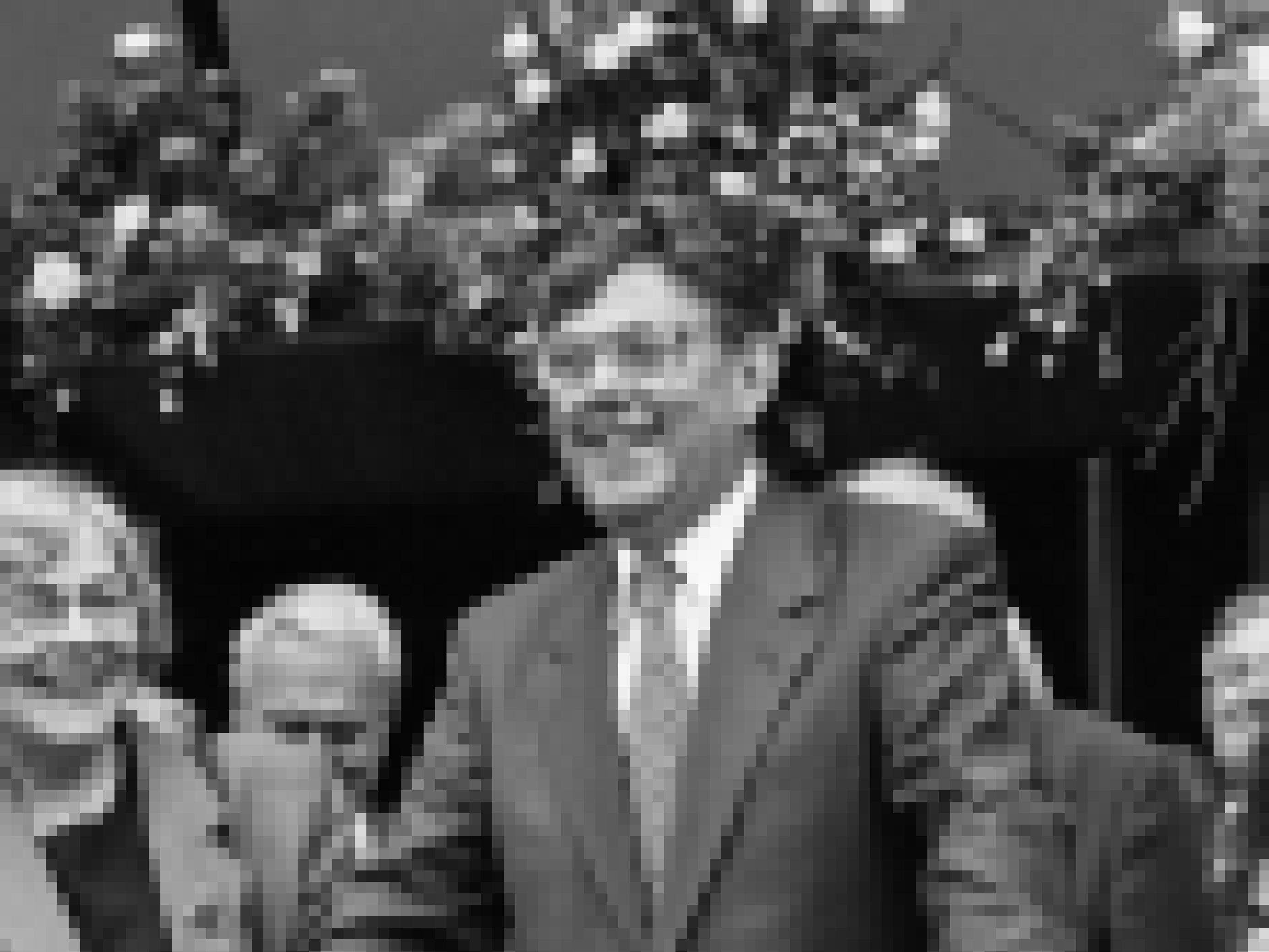 Schwarz/weiß Aufnahme des Nobelpreisträgers Paul Crutzen bei der Preisverleihungsfeier in Mainz 1995. Links neben ihm steht seine Ehefrau Terttu.