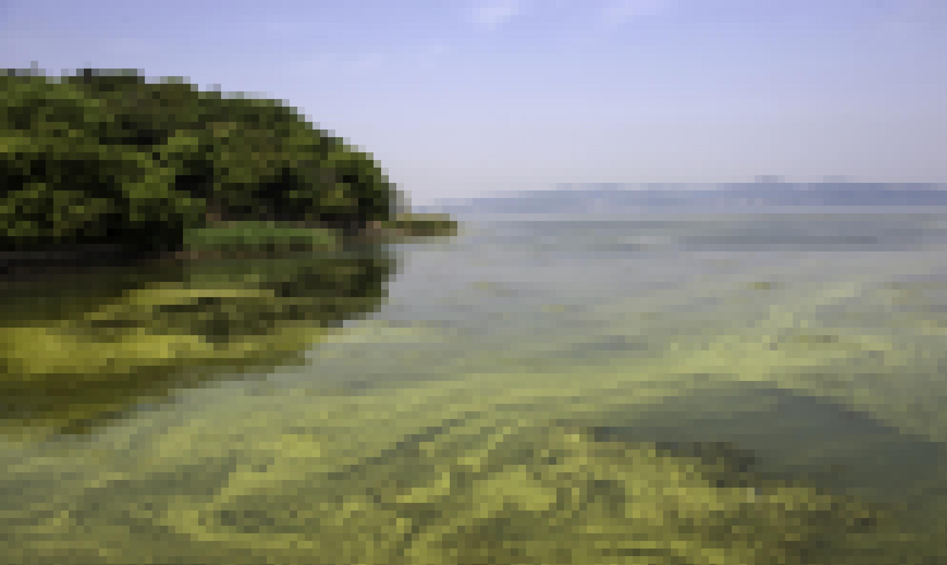 Aufnahme eines Sees mit Algenblüten. Ein grüner Film treibt auf der Wasseroberfläche.