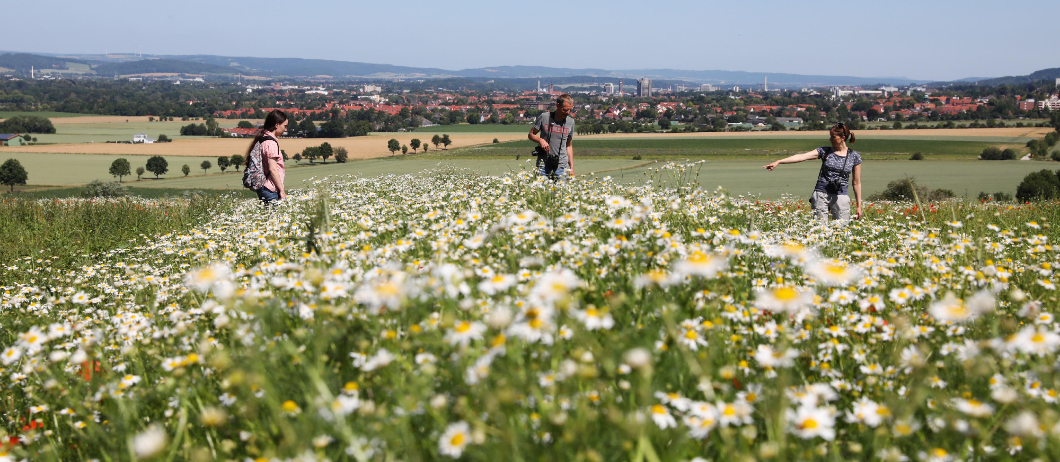 Drei Menschen in einer Blühwiese an einem Hang, im Hintergrund die Silhouette von Göttingen.