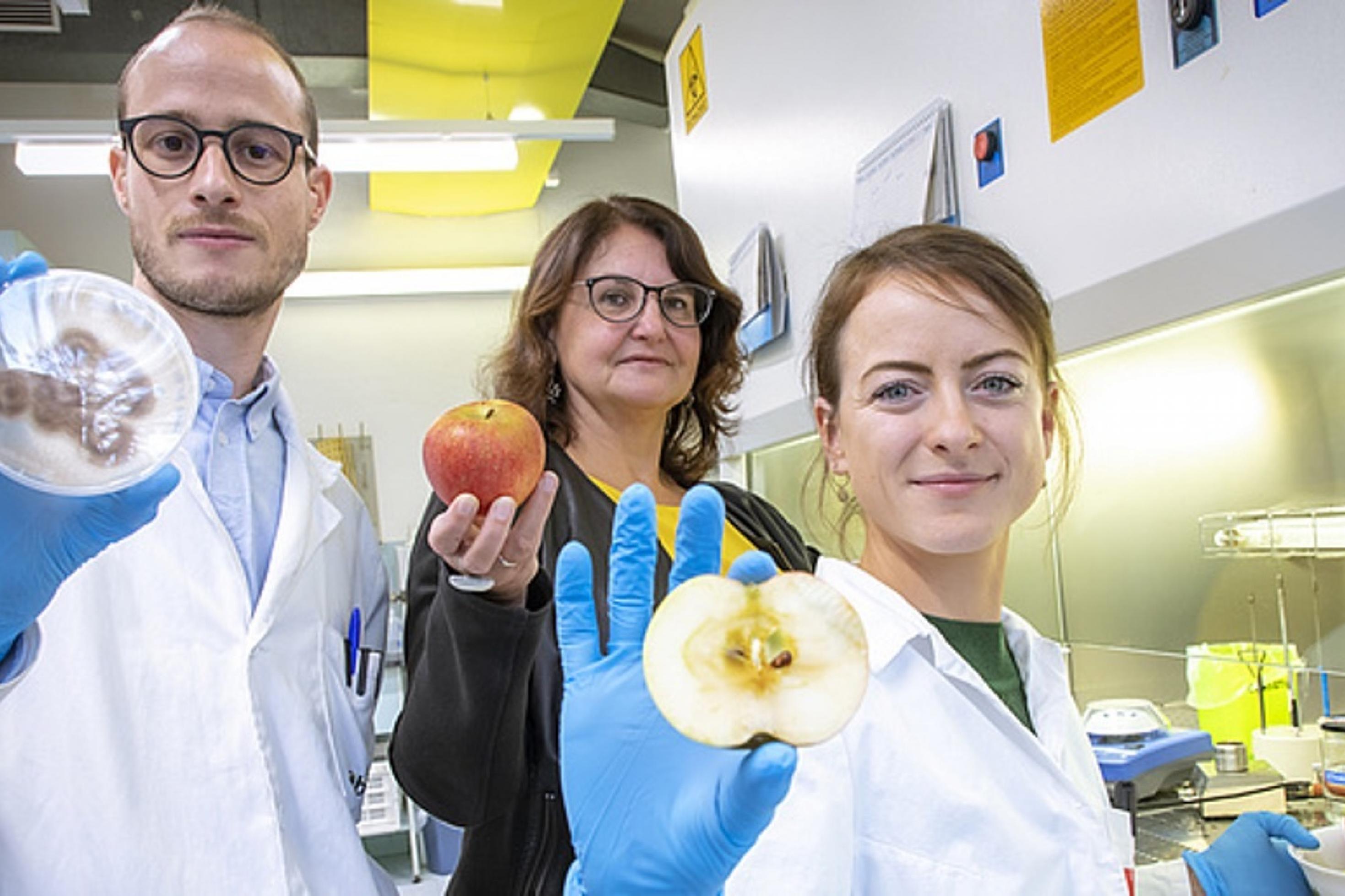 Forscherin Gabriele Berg steht mit zwei Kollegen im Labor. Sie halten einen Apfel in der Hand. Das ist ihr Forschungsobjekt, um die drauf befindlichen Mikroorganismen zu studieren.