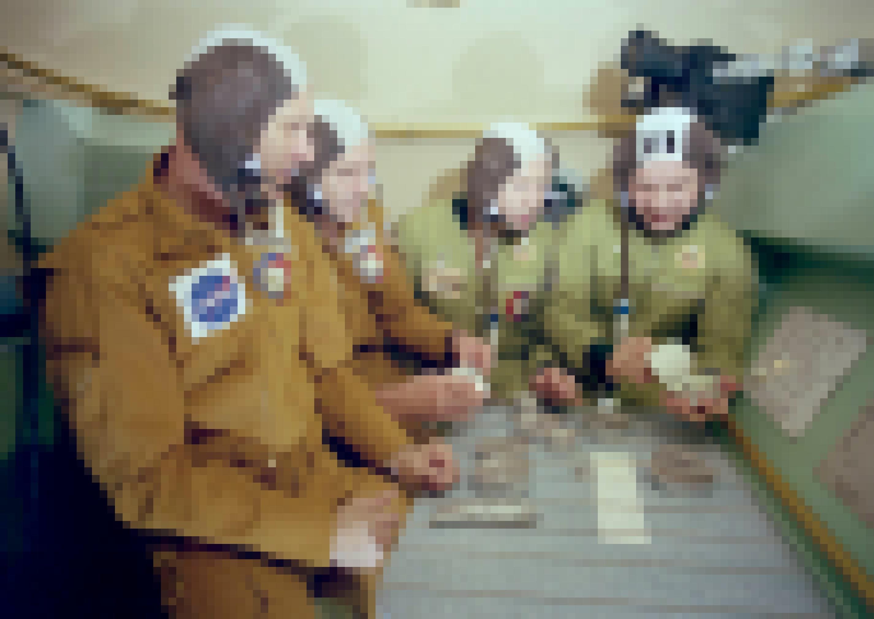 Vier Raumfahrer sitzen gemeinsam am Tisch und betrachten Dosennahrung. Die US-Astronauten tragen braune Anzüge, die sowjetischen Kosmonauten sind kakifarben. Alle tragen identisch aussehende Hauben.