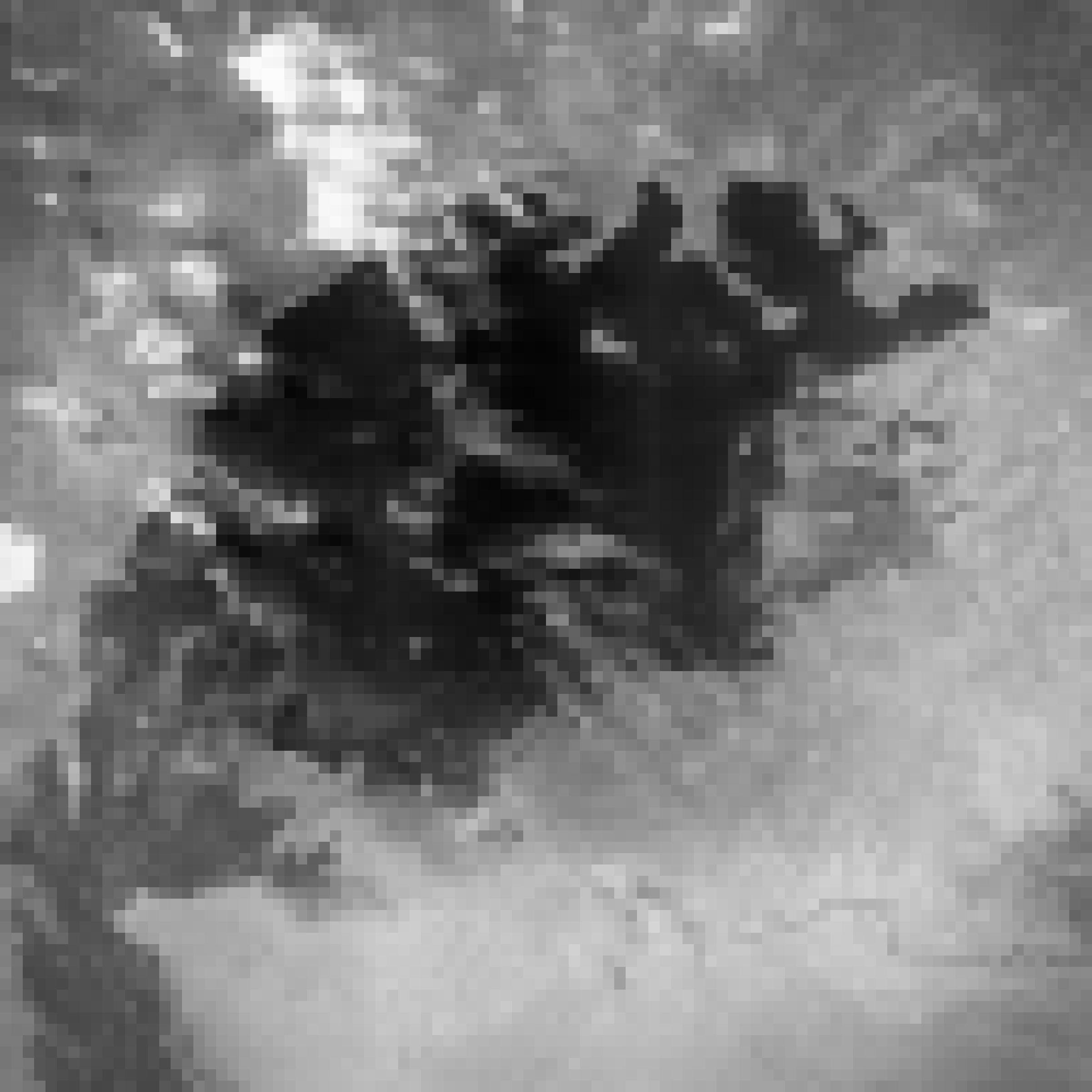 Ein schwarz-weißes Satellitenbild, die dunkle kompakte Seeoberfläche mit einigen Schleierwolken darüber.