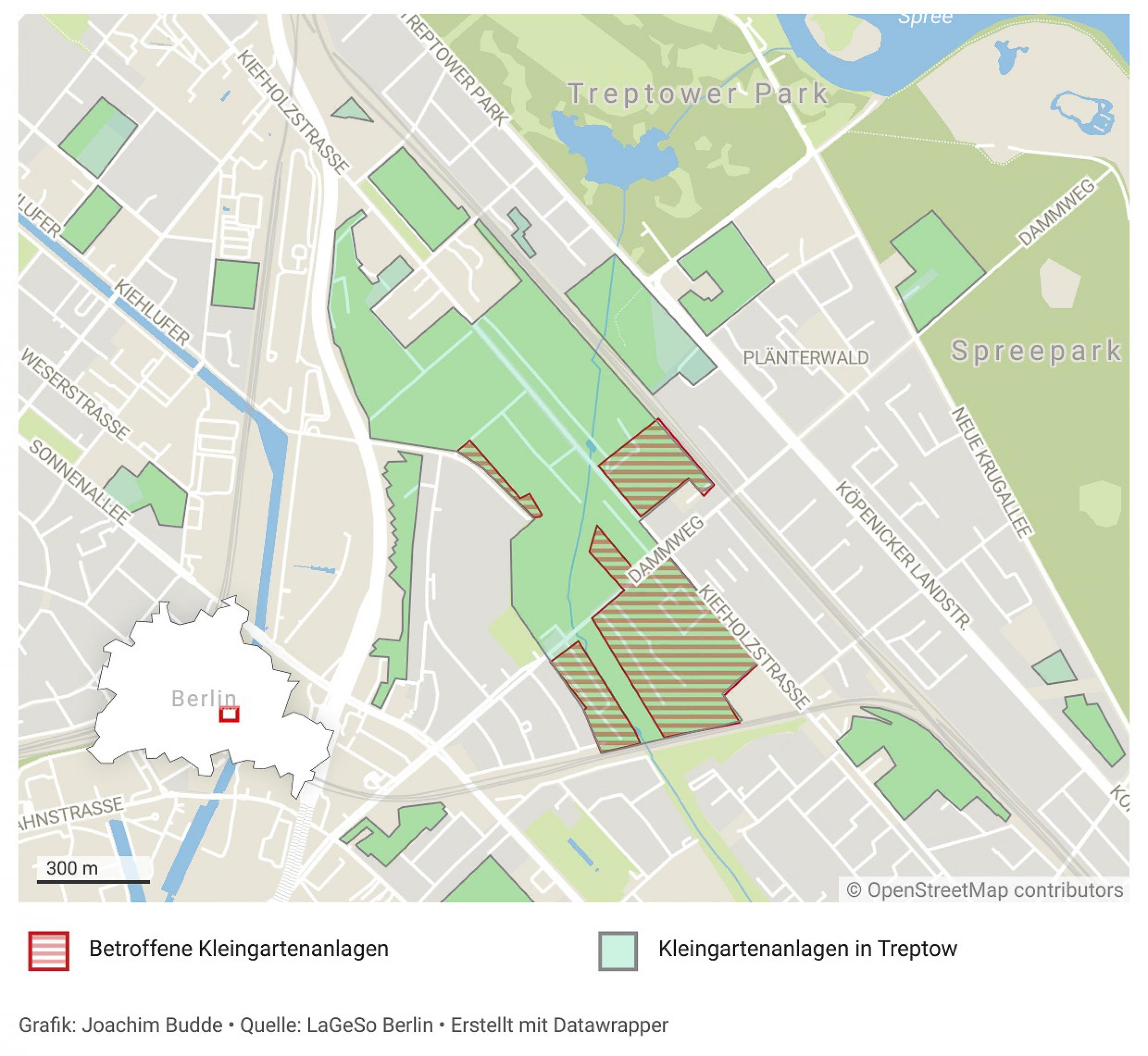 Eine Karte des Berliner Stadtteils Treptow, in der die Kleingärten eingezeichnet sind. Rot hervorgehoben sind die Anlagen, in denen 2022 die Asiatische Tigermücke gefunden wurde.