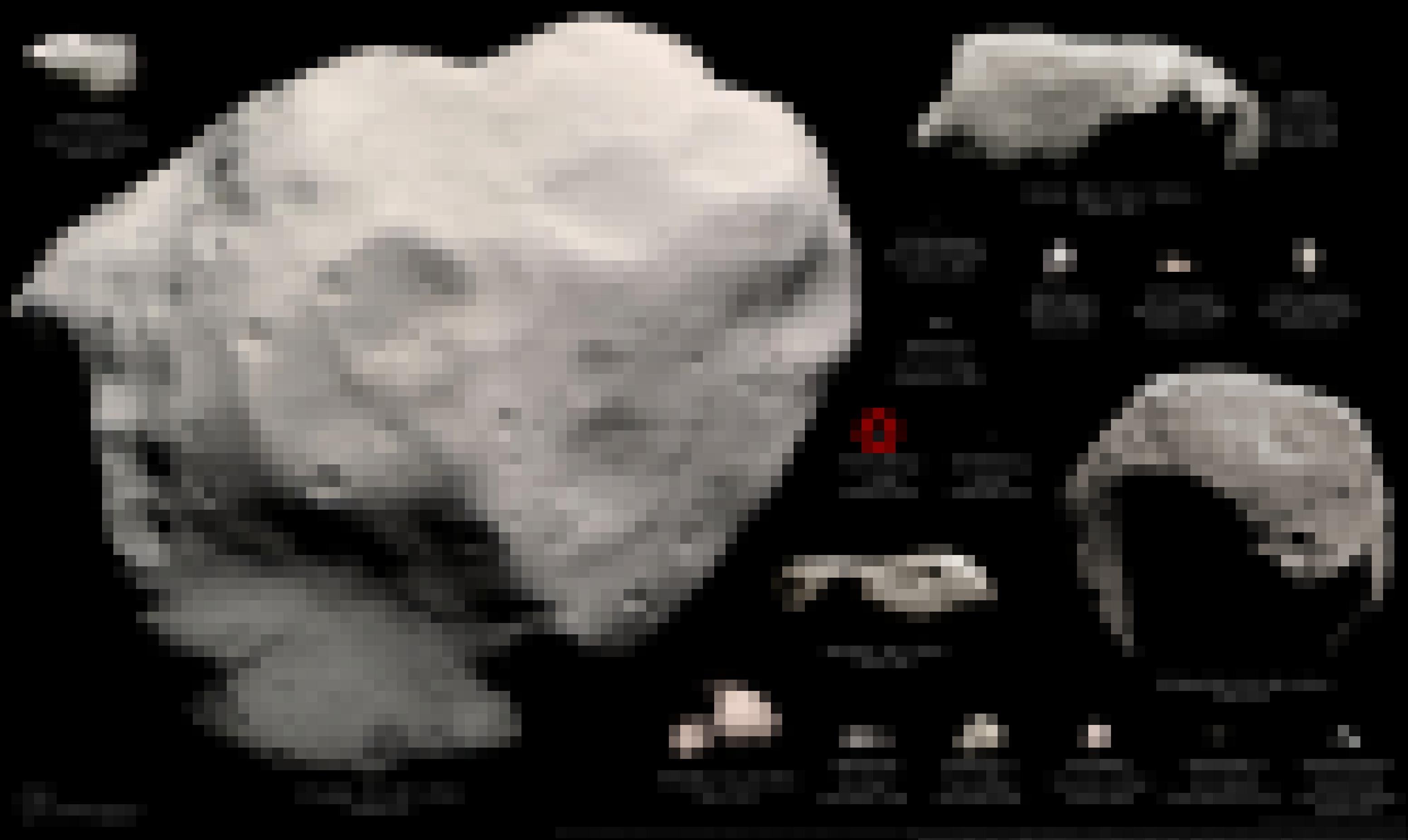 Montage aller jemals von Raumsonden besuchten Asteroiden und Kometenkerne