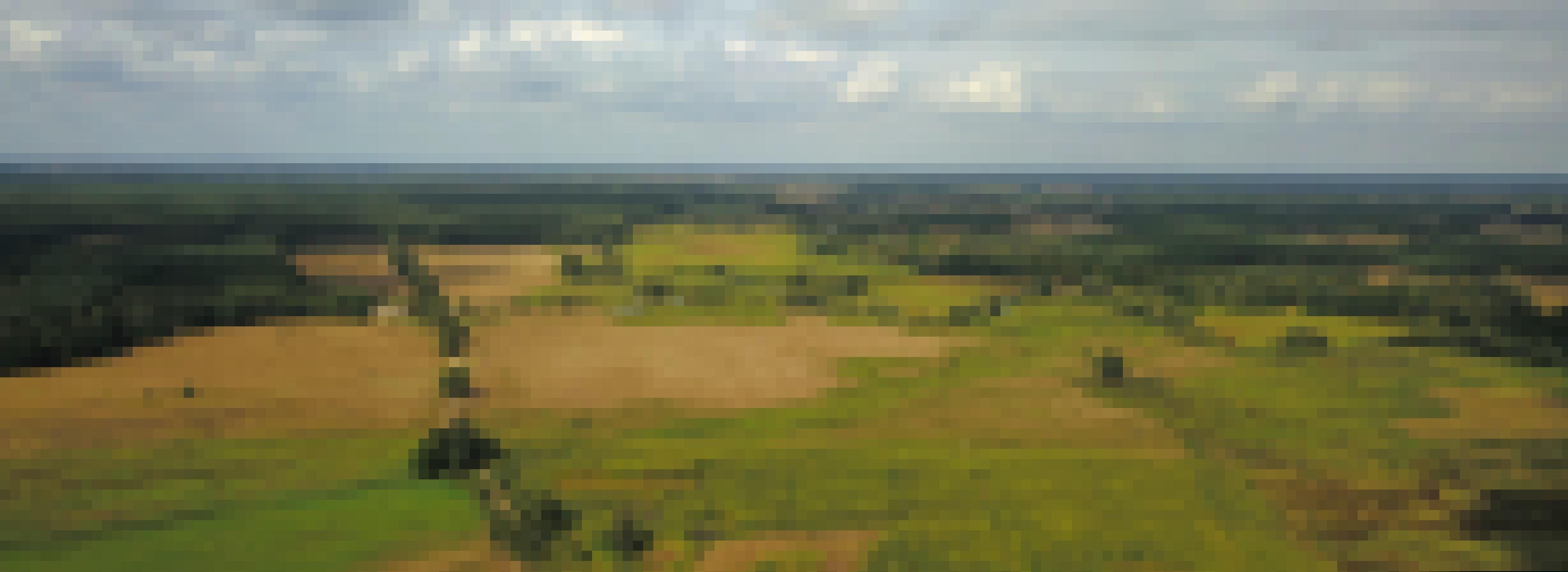 Ein Drohnenfoto einer Wald-Moorlandschaft