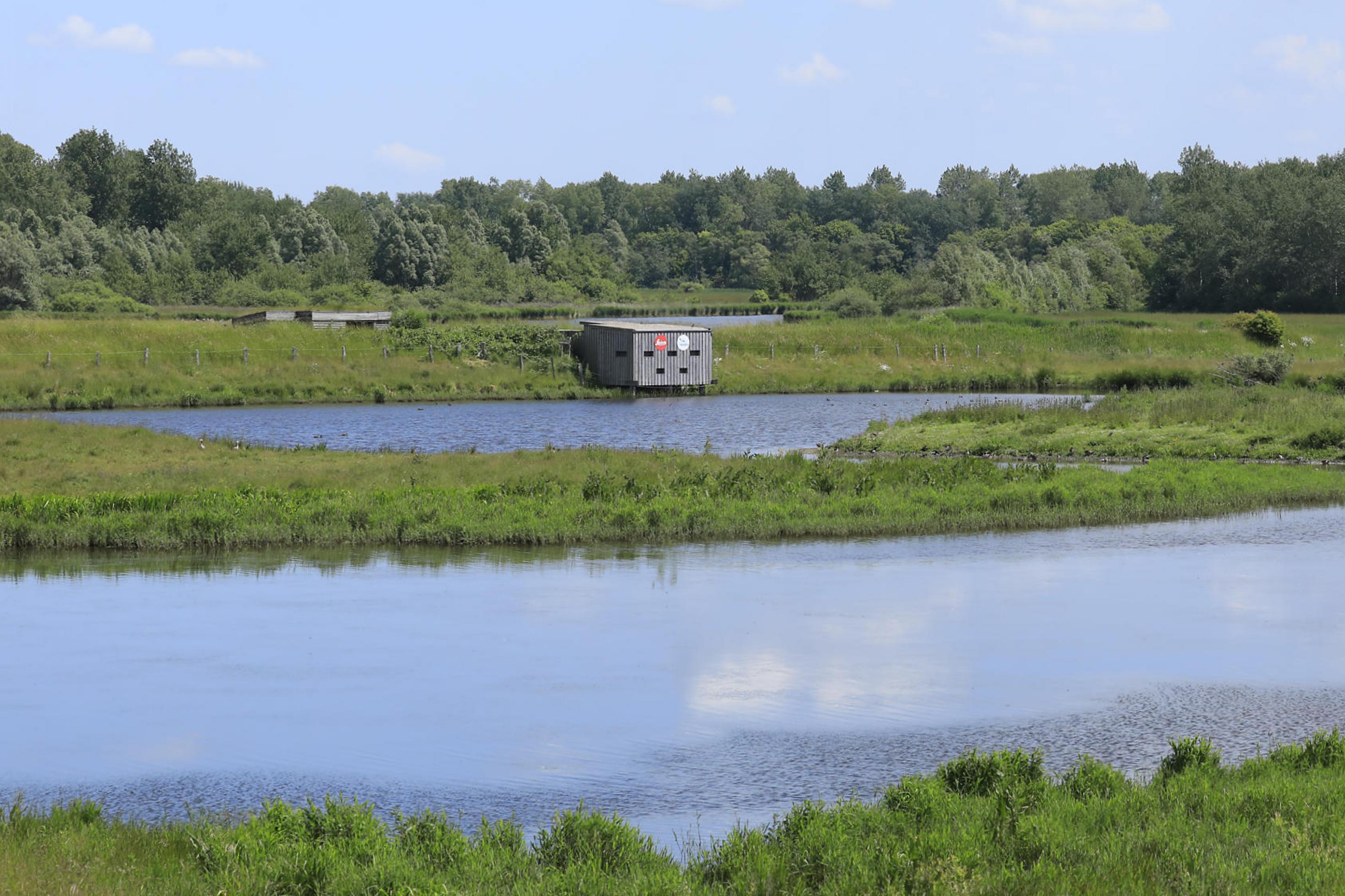 Eine Beobachtungshütte an einer Wasserfläche, umgeben von grünen Wiesen im vollen Sonnenschein. Rechte: Anne Preger