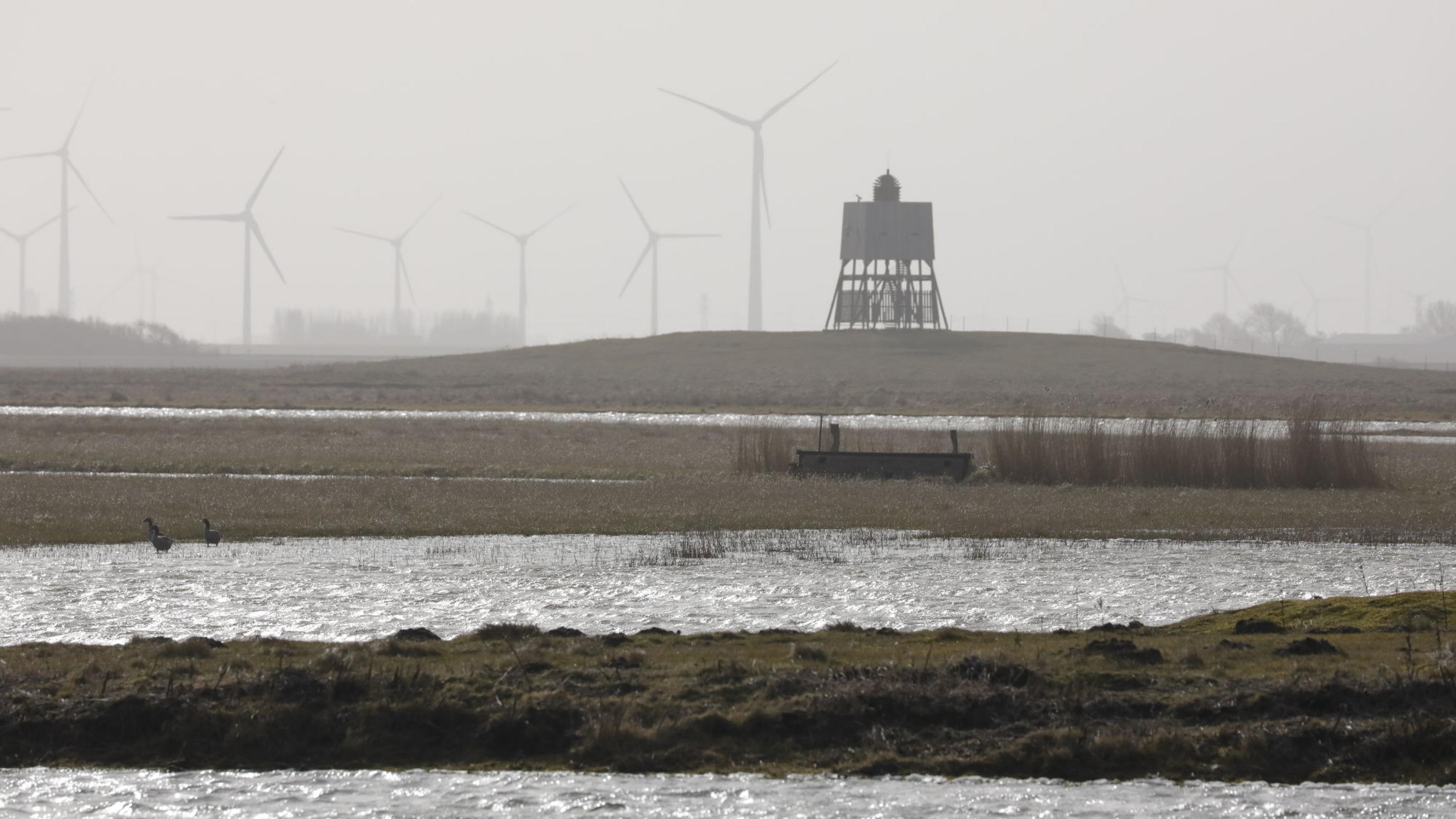 Eine Landschaft mit Wasserflächen und Feuchtwiesen im Gegenlicht, im Hintergrund ein Beobachtungsturm und Windräder.