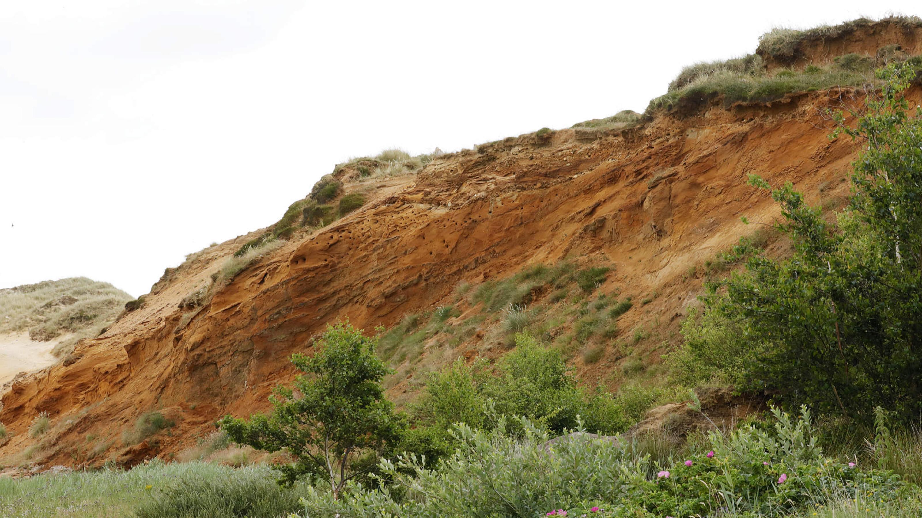 In einem rostrot-gefärbten Hang aus Sandstein lassen sich im oberen Bereich kleine Löcher erkennen. Am Fuß ist das Kliff zum Teil bewachsen. Rechte: Anne Preger