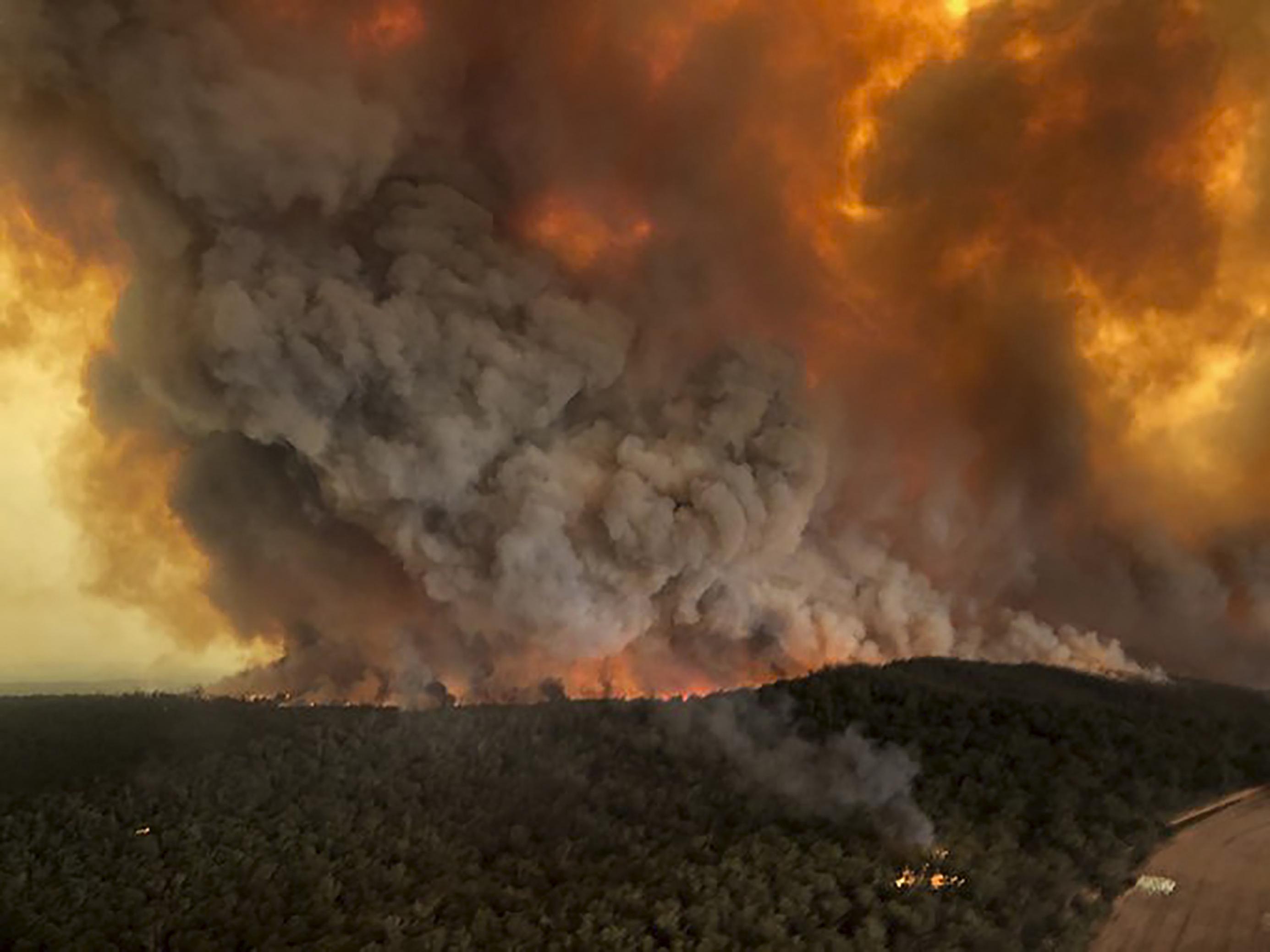 Das Bild ist aus einem Flugzeug oder Hubschrauber heraus aufgenommen. Es zeigt im Vordergrund einen grünen Wald, der aber im hinteren Teil des Bilds in Flammen steht.