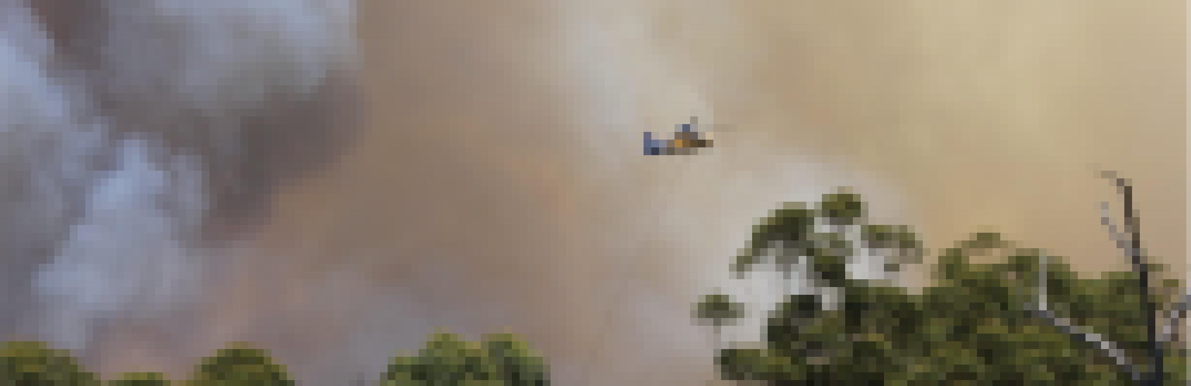 Ein Läschflugzeug fliegt durch eine dichte Rauchwolke