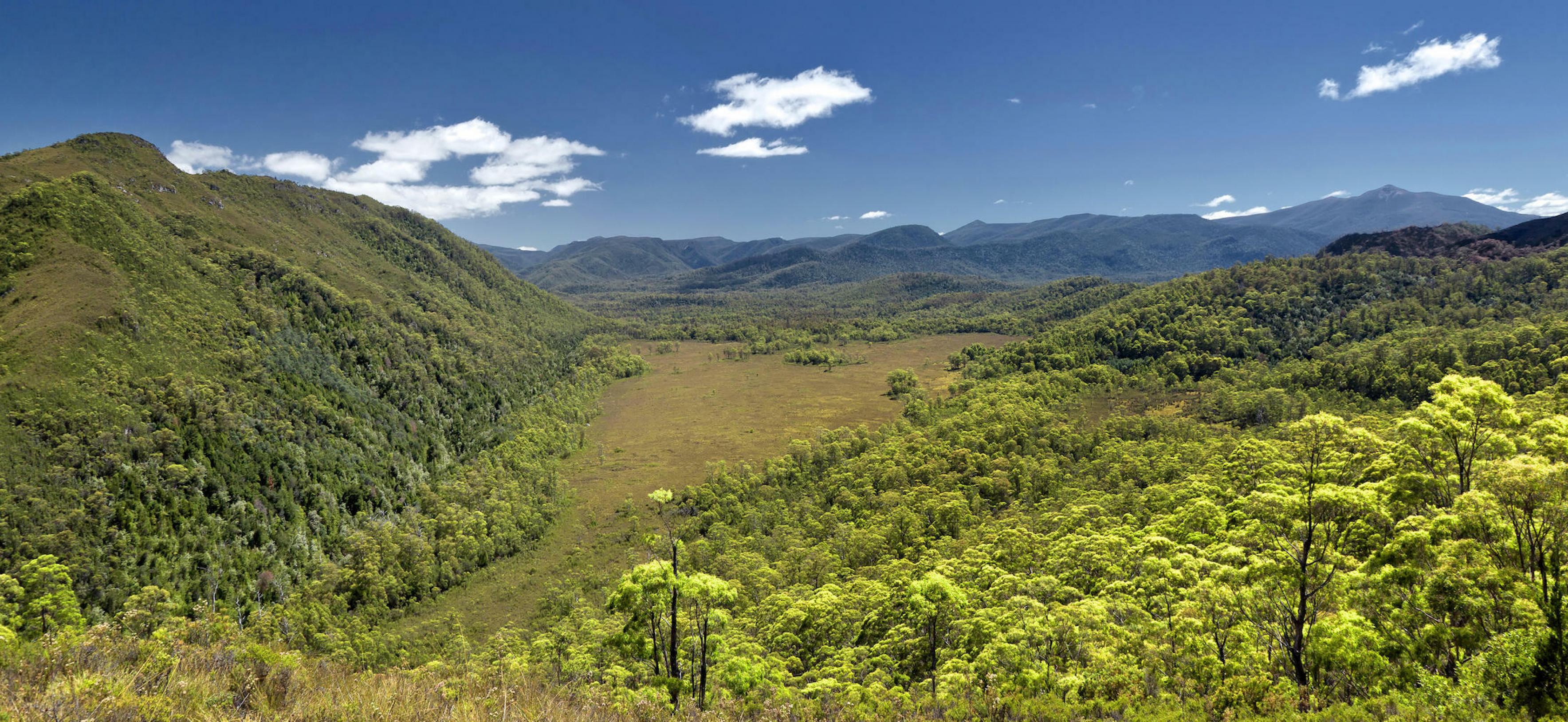 Das sattgrüne Bild zeigt eine hügelige Regenwaldlandschaft mit einer großen Lichtung in der Mitte bei sonnigem Wetter.