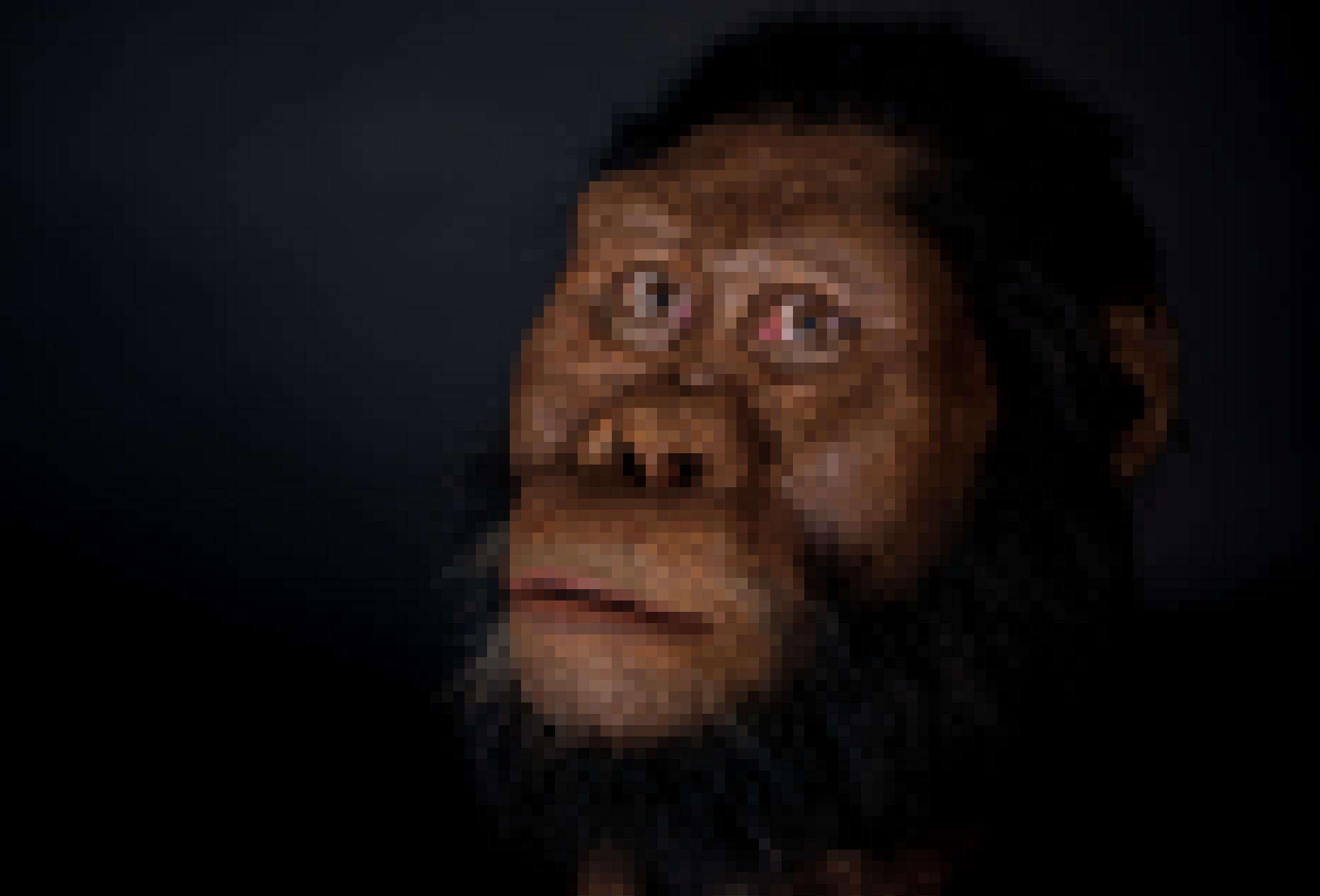Die Rekonstruktion von Australopithecus anamensis zeigt ein behaartes, äffisches Wesen mit einem bewussten, menschlich wirkenden Blick.  Erstmals ließ sich das Gesicht dieses Vormenschen modellieren – anhand eines kürzlich entdeckten Schädelfossils.