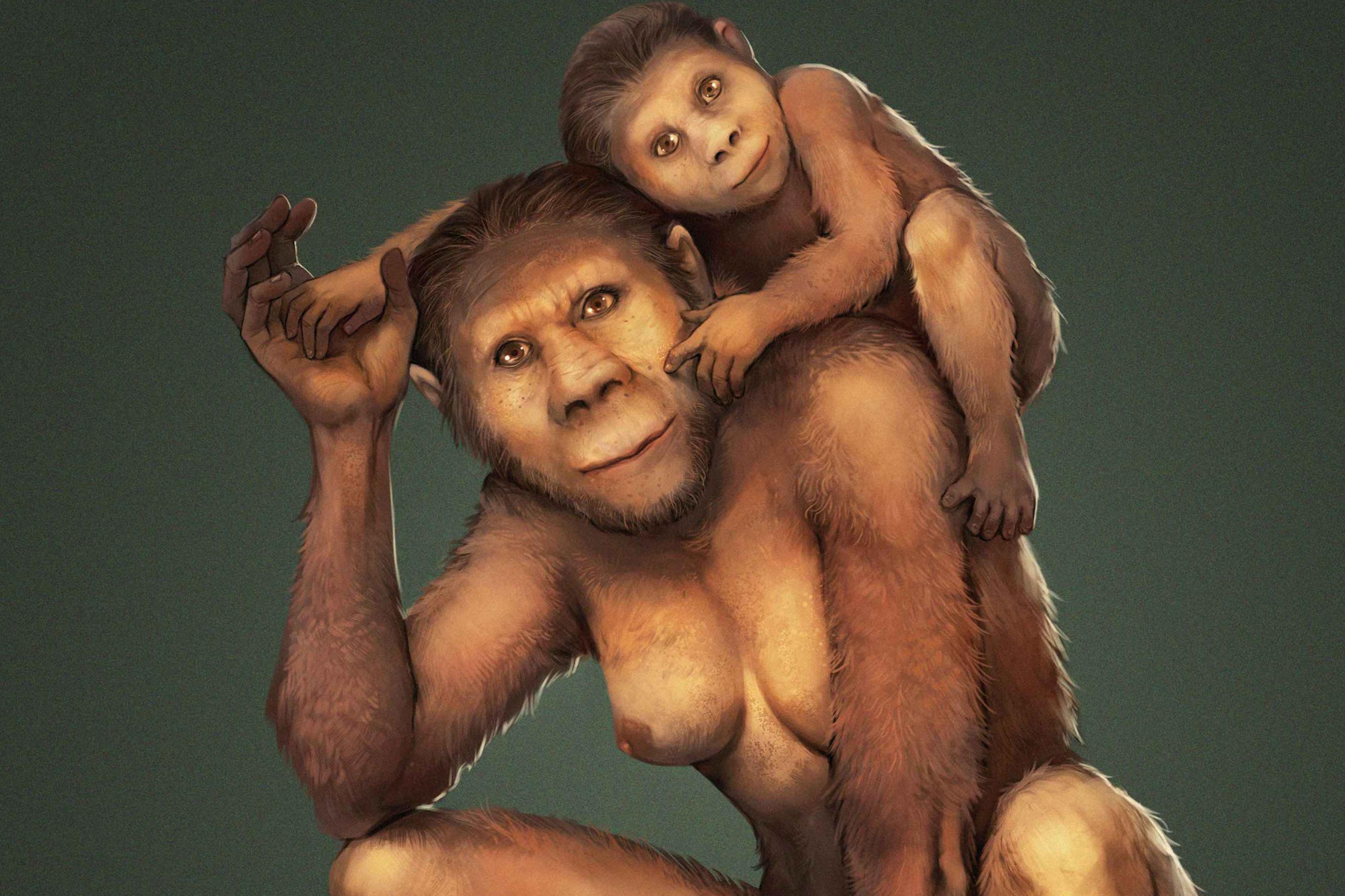 Auf dieser Zeichnung ist eine Mutter der Vormenschen-Art Australopithecus africanus zu sehen, die ihr Kind auf der linken Schulter trägt. Anhand von Zahnanalysen fanden Forscher heraus, dass die Mütter dieser Art ihre Kinder etwa ein Jahr lang stillten, ihnen aber auch später noch in Notzeiten Milch gaben