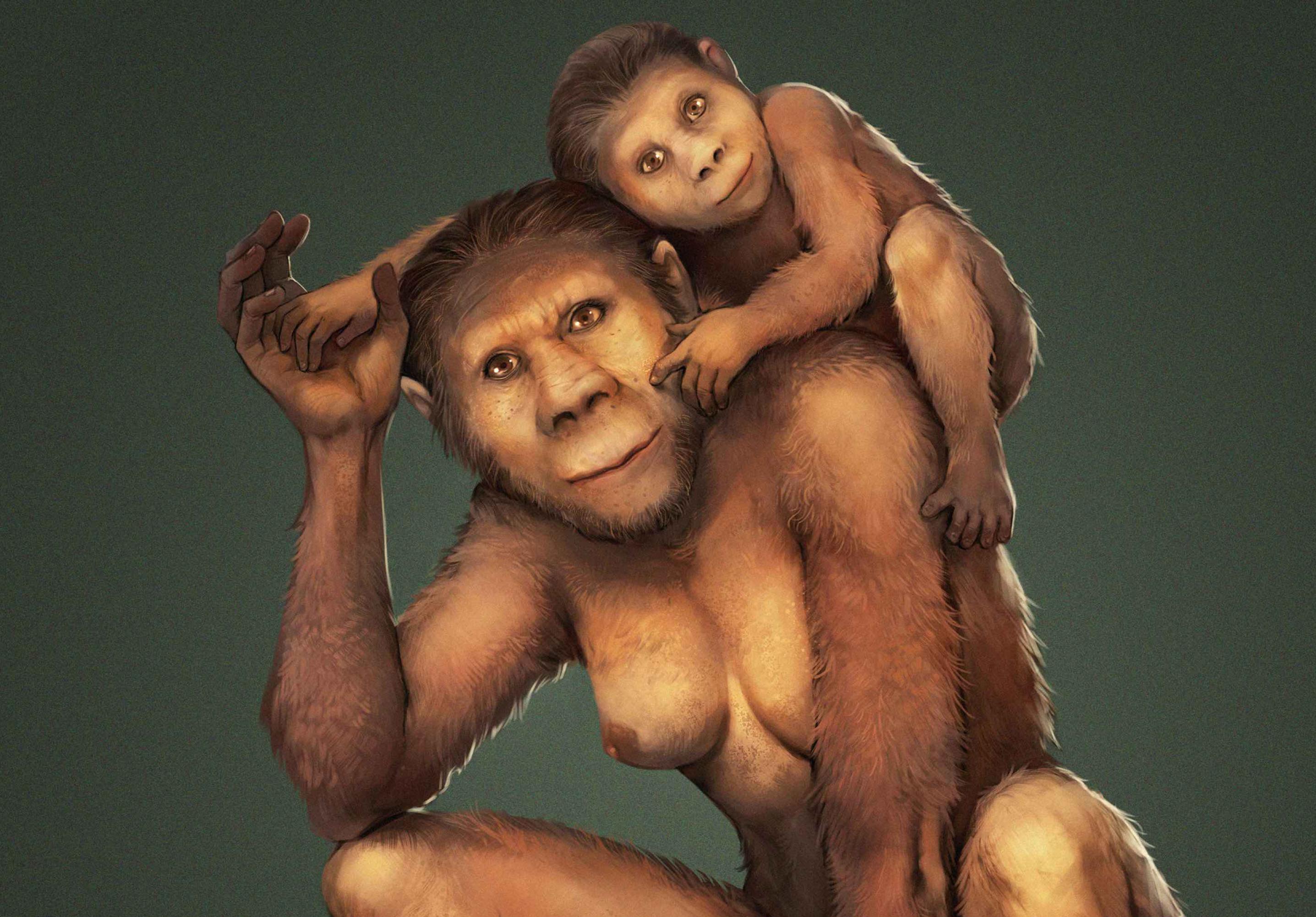 Auf dieser Zeichnung ist eine Mutter der Vormenschen-Art Australopithecus africanus zu sehen, die ihr Kind auf der linken Schulter trägt. Anhand von Zahnanalysen fanden Forscher heraus, dass die Mütter dieser Art ihre Kinder etwa ein Jahr lang stillten, ihnen aber auch später noch in Notzeiten Milch gaben