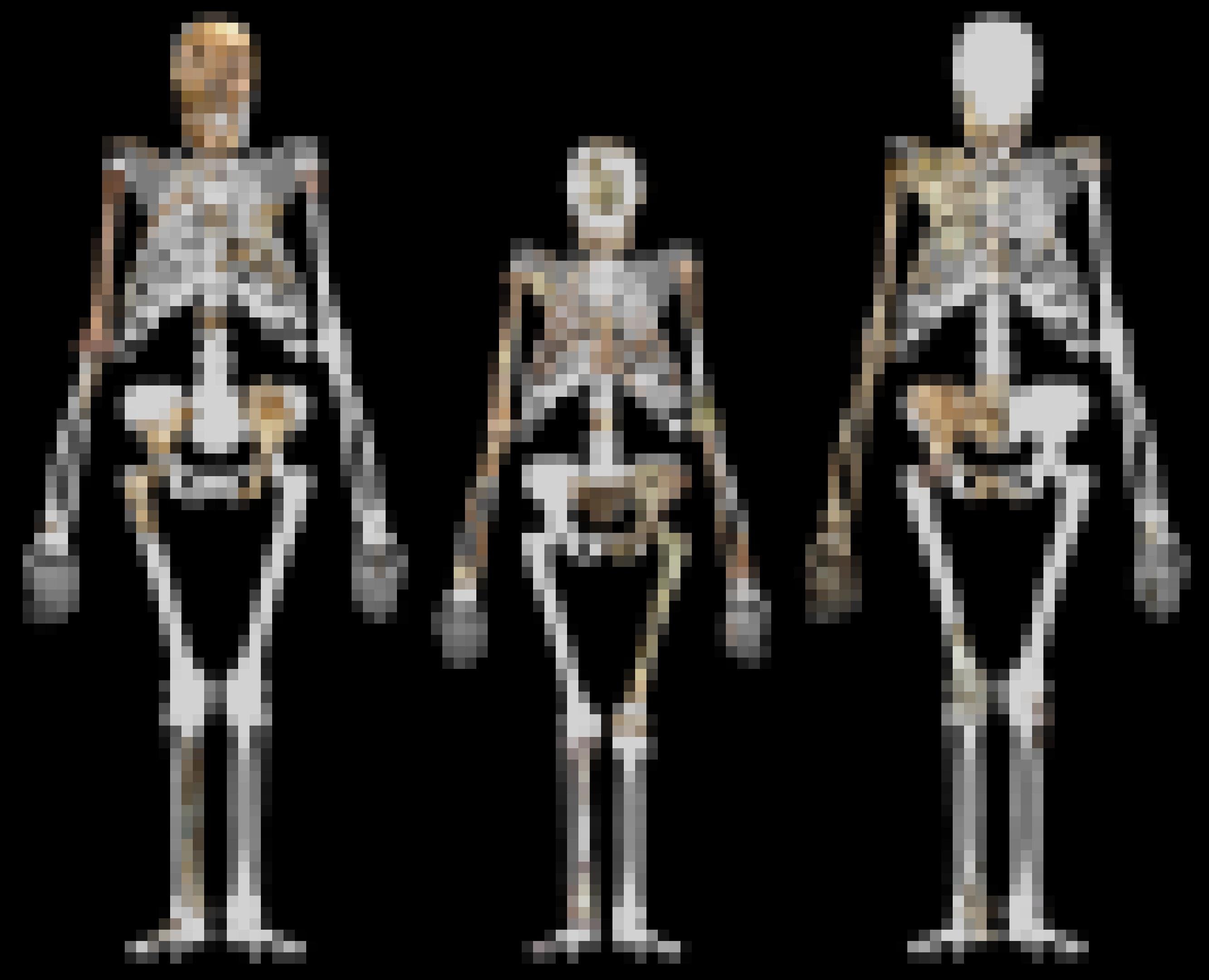 Dargestellt sind die rekonstruierten Umrisse von drei Skeletten, in die die fossilen Knochen von Vormenschen projiziert sind. In der Mitte wird der etwas kleinere Umriss von Lucy (Australopithecus afarensis) gezeigt, links und rechts daneben jeweils ein Exemplar der Art Australopithecus sediba aus Südafrika. Die breiten Becken, „X-Beine“ und nach vorne schauenden Schädel zeigen eindeutig, dass diese Wesen eine aufrechte Körperhaltung hatten.