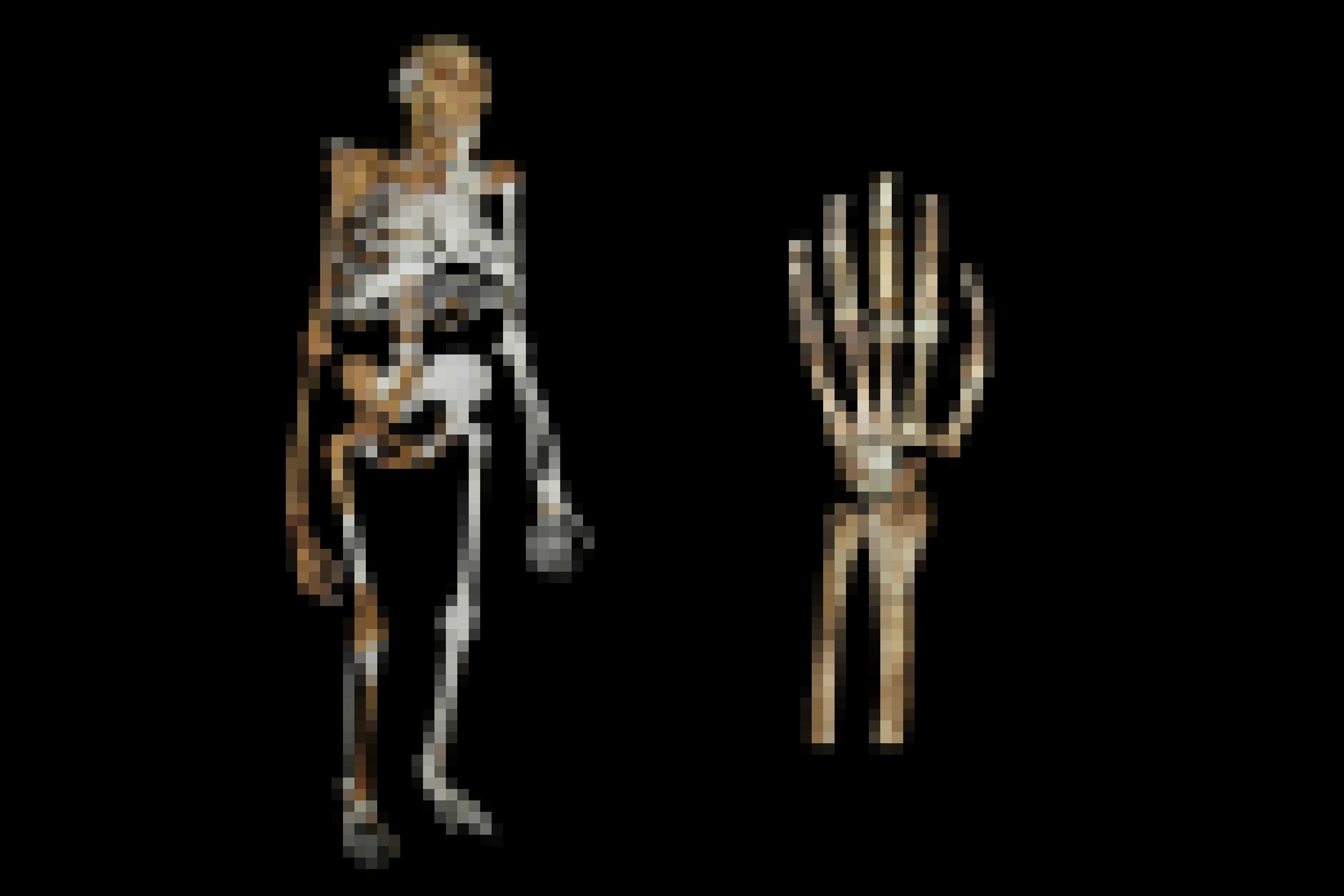 Vor schwarzem Hintergrund ist links die Rekonstruktion des kompletten Skeletts eines menschenähnlichen Wesens zu sehen. Der Schädel ähnelt dem eines Schimpansen, die Arme sind sehr lang, doch Becken, Beine und die aufrechte Körperhaltung wirken menschlich. Rechts wird stark vergrößert ein Stück des Vorderarms mit der Hand gezeigt, deren Finger sehr lang sind.