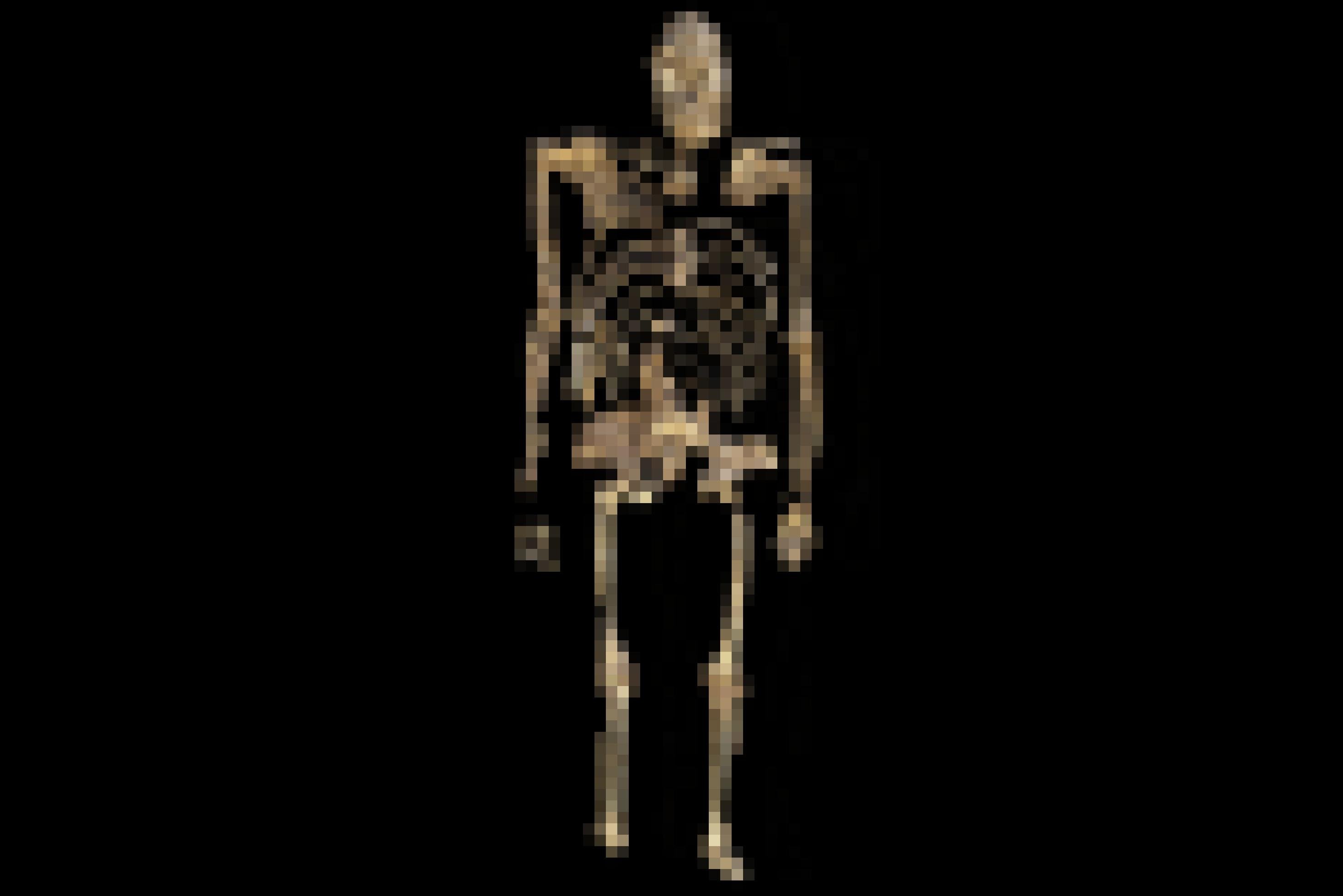 Vor schwarzem Hintergrund ist ein in aufrechter Position gezeigtes, weitgehend erhaltenes fossiles Skelett zu sehen, das wie eine Mischung zwischen Affe und Mensch wirkt.