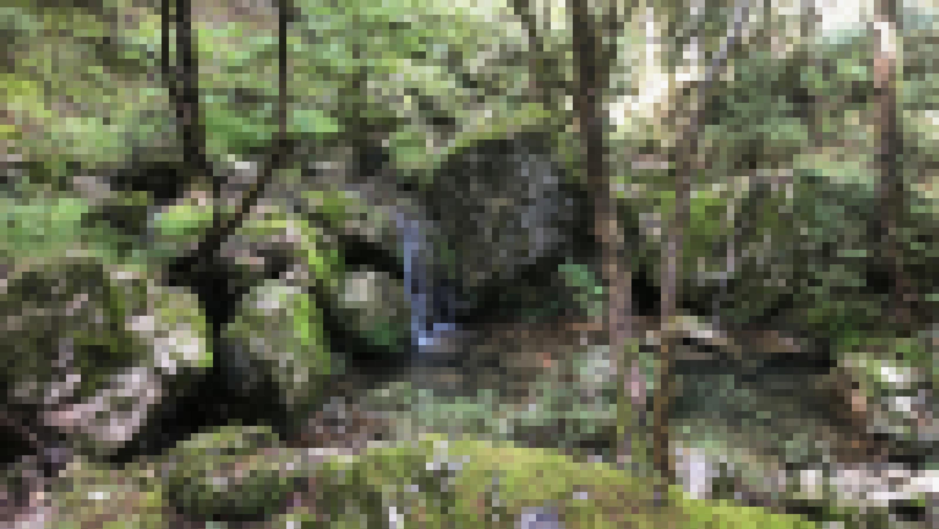 Ein kleiner Wasserfall in einem klaren Bach, rechts und links bemooste Steine und Bäume.