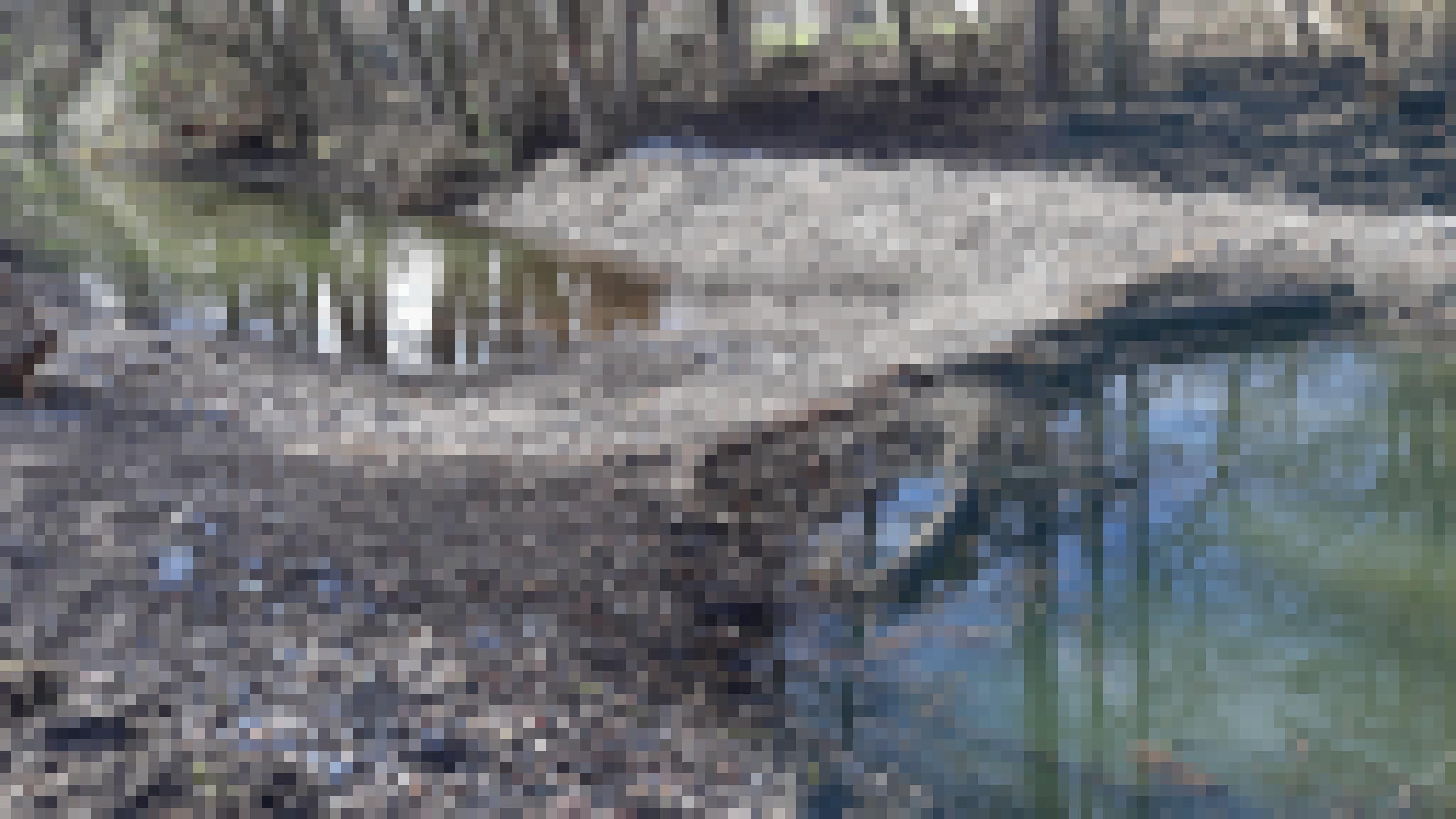 Eine Reihe Holzpfähle sind quer zum Fluß in das Bachbett eingeschlagen. Dahinter eine Aufschüttung aus Kies als Laichraum für Fische, zum Beispiel für Neunaugen.