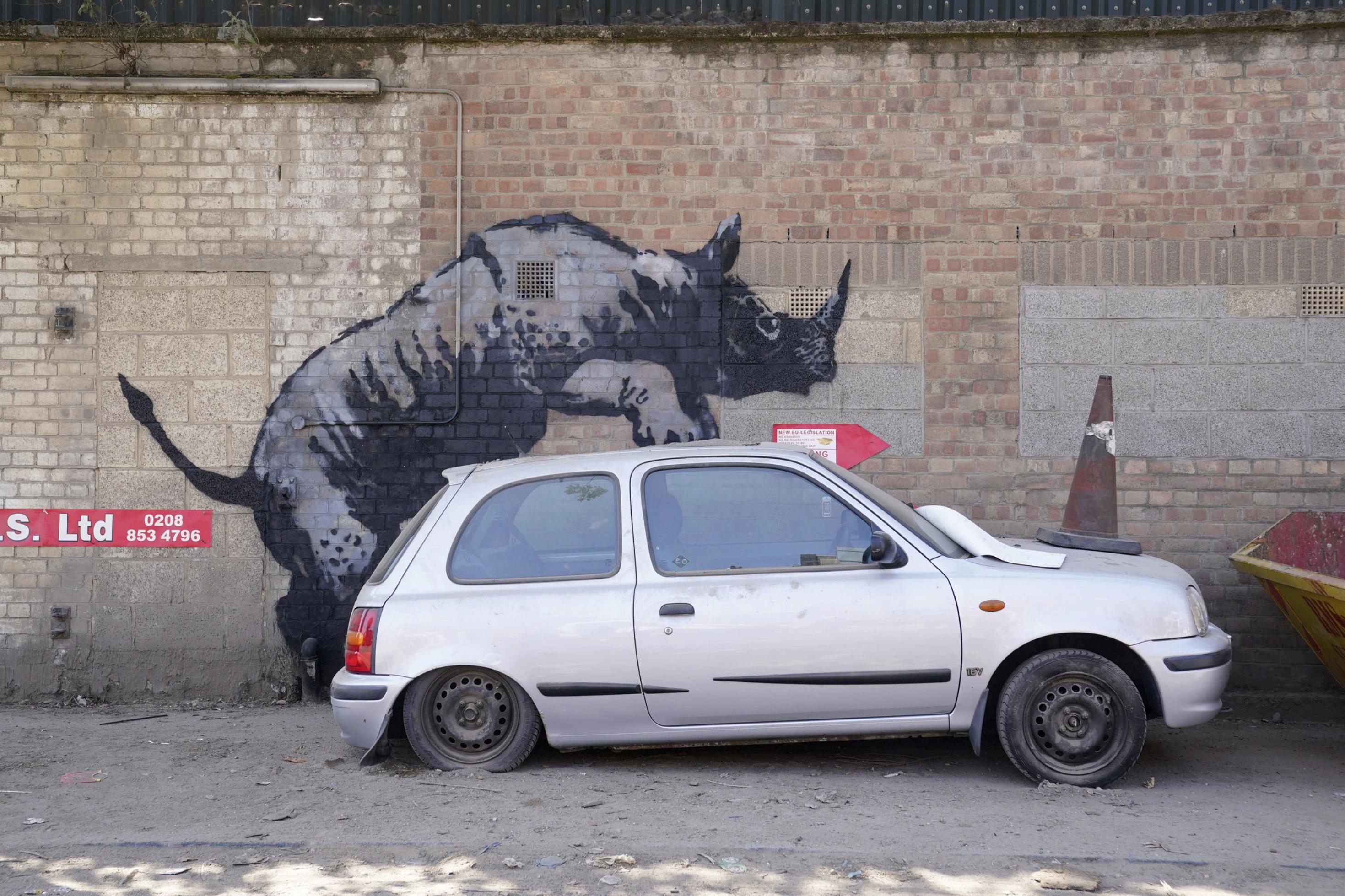 Ein Nashorn ist mit schwarzer und grauer Farbe so auf eine Mauer gesprayt, dass es aussieht, als würde es ein davor palkendes Auto besteigen.