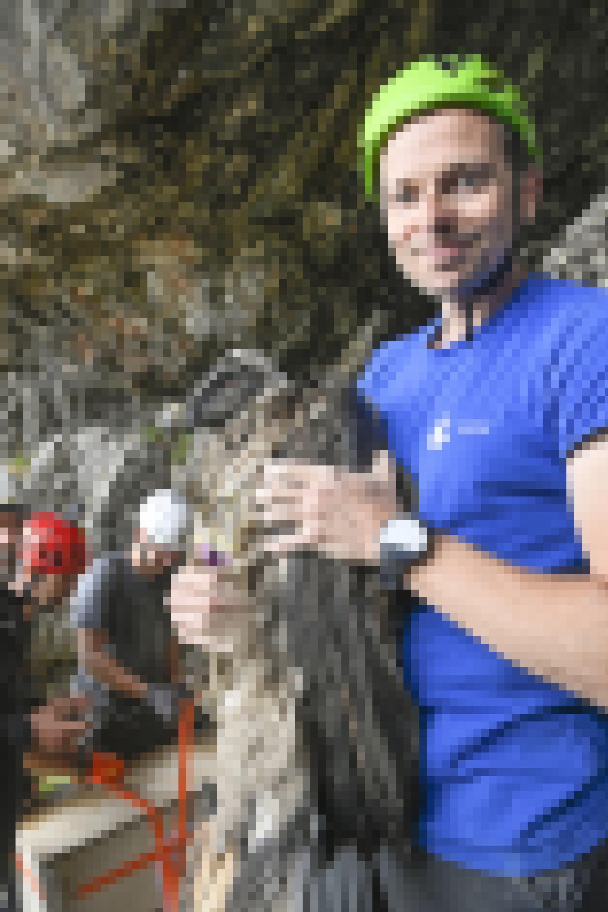 Toni Wegscheider mit blauem LBV-Thomas-Shirt und Helm vor der Auswilderungsnische mit einem Bartgeier in der Hand.