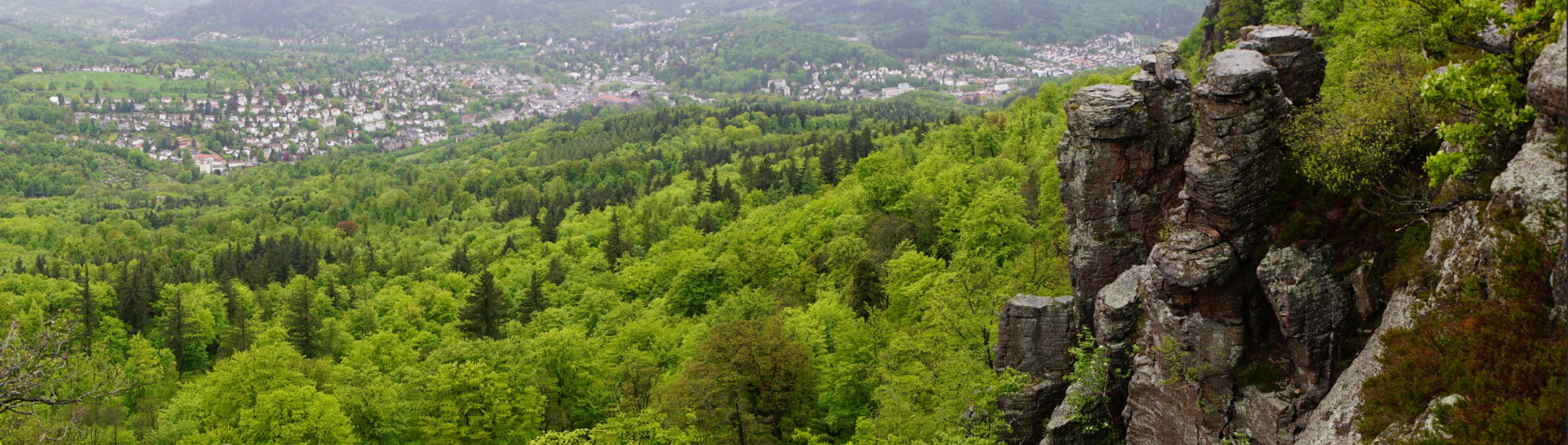 Panoramablick vom Battert ins Tal mit Baden-Baden