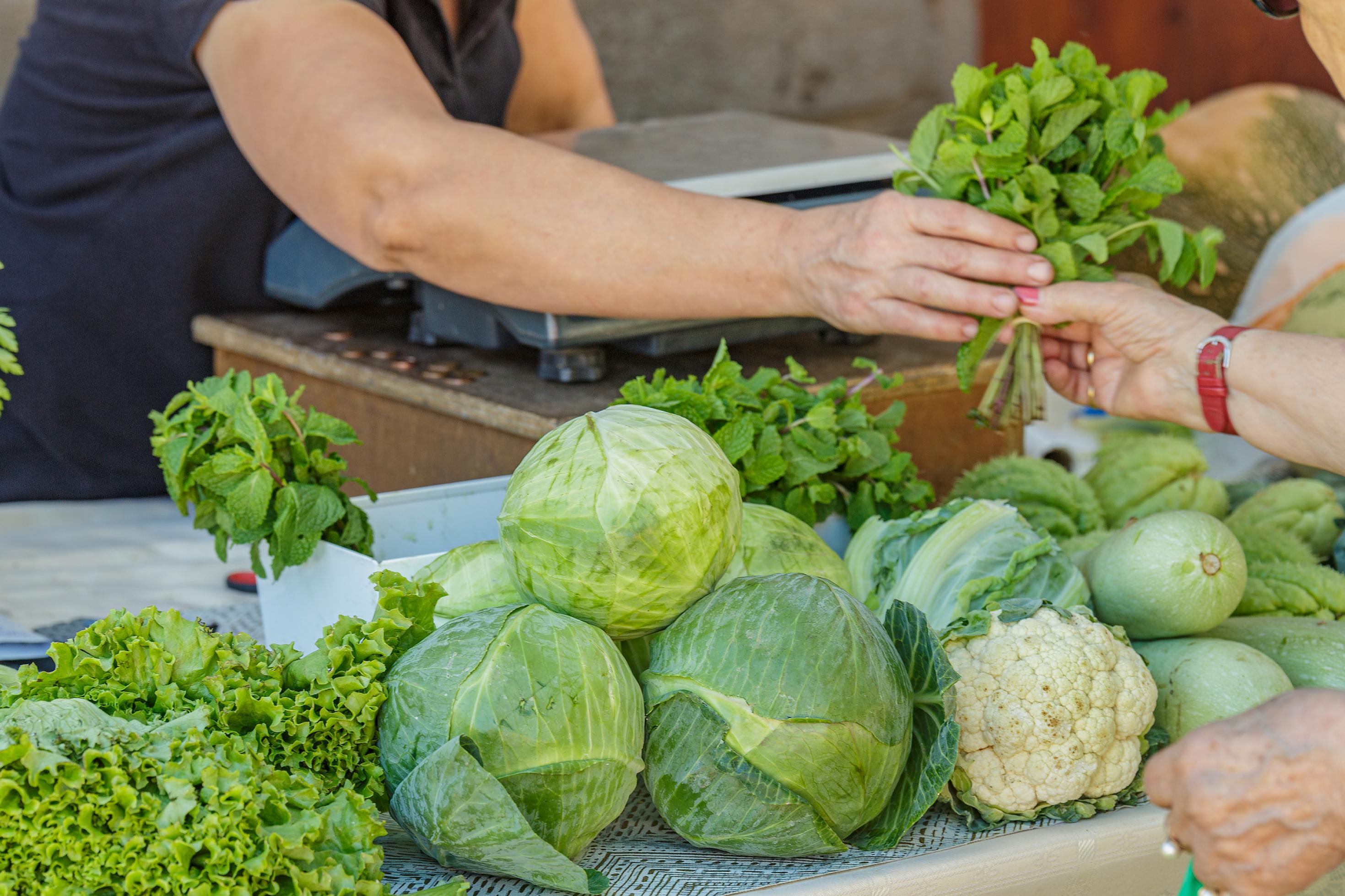 Nahaufnahme Bauernmarkt mit Gemüsestand. Die Hand einer Verkäuferin hält ein Bund Kräuter in der rechten Hand, die die Hand einer Kundin entgegennimmt.