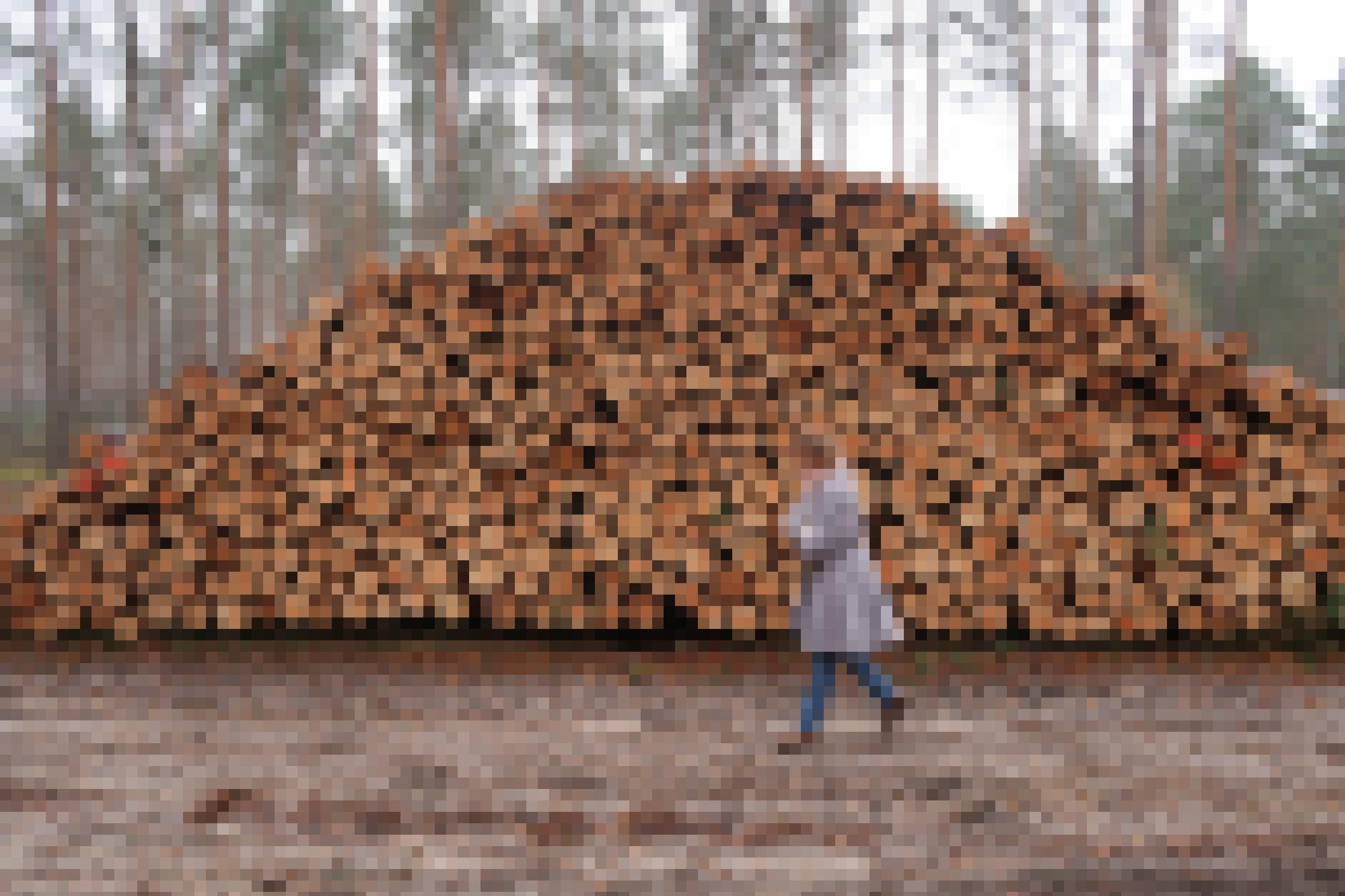 Eine Frau geht über einen Waldweg. Hinter ihr liegt ein Stapel Baumstämme.