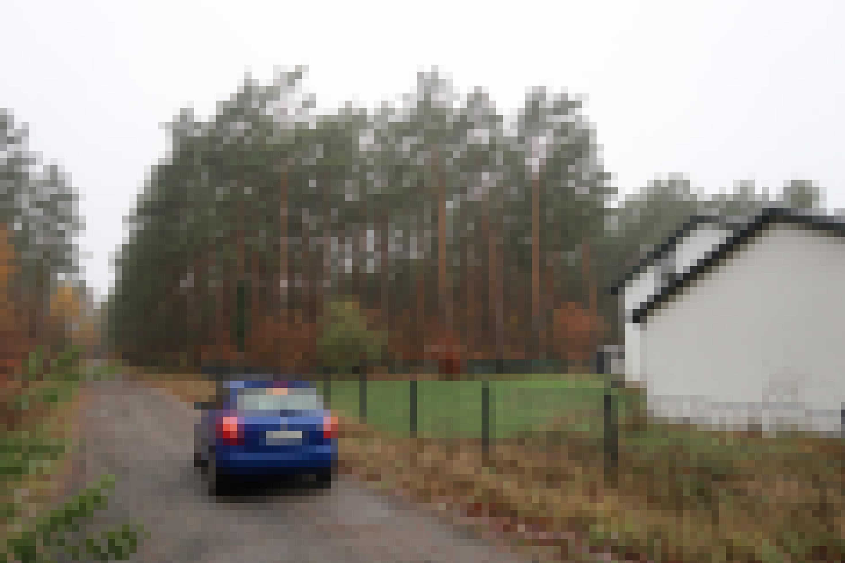 Ein Auto fährt über einen Waldweg. Nebenan steht ein Haus mit Rasen.