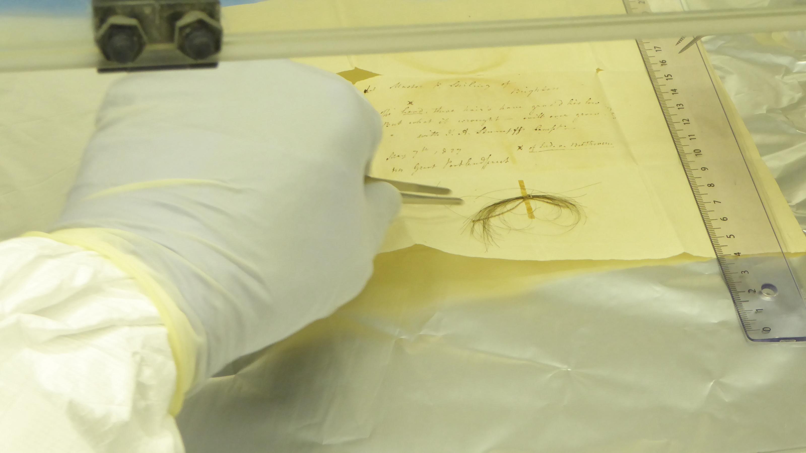 Ein Mitarbeitender in einem Labor berührt mit einer Pinzette eine Haarsträhne Ludwig van Beethovens