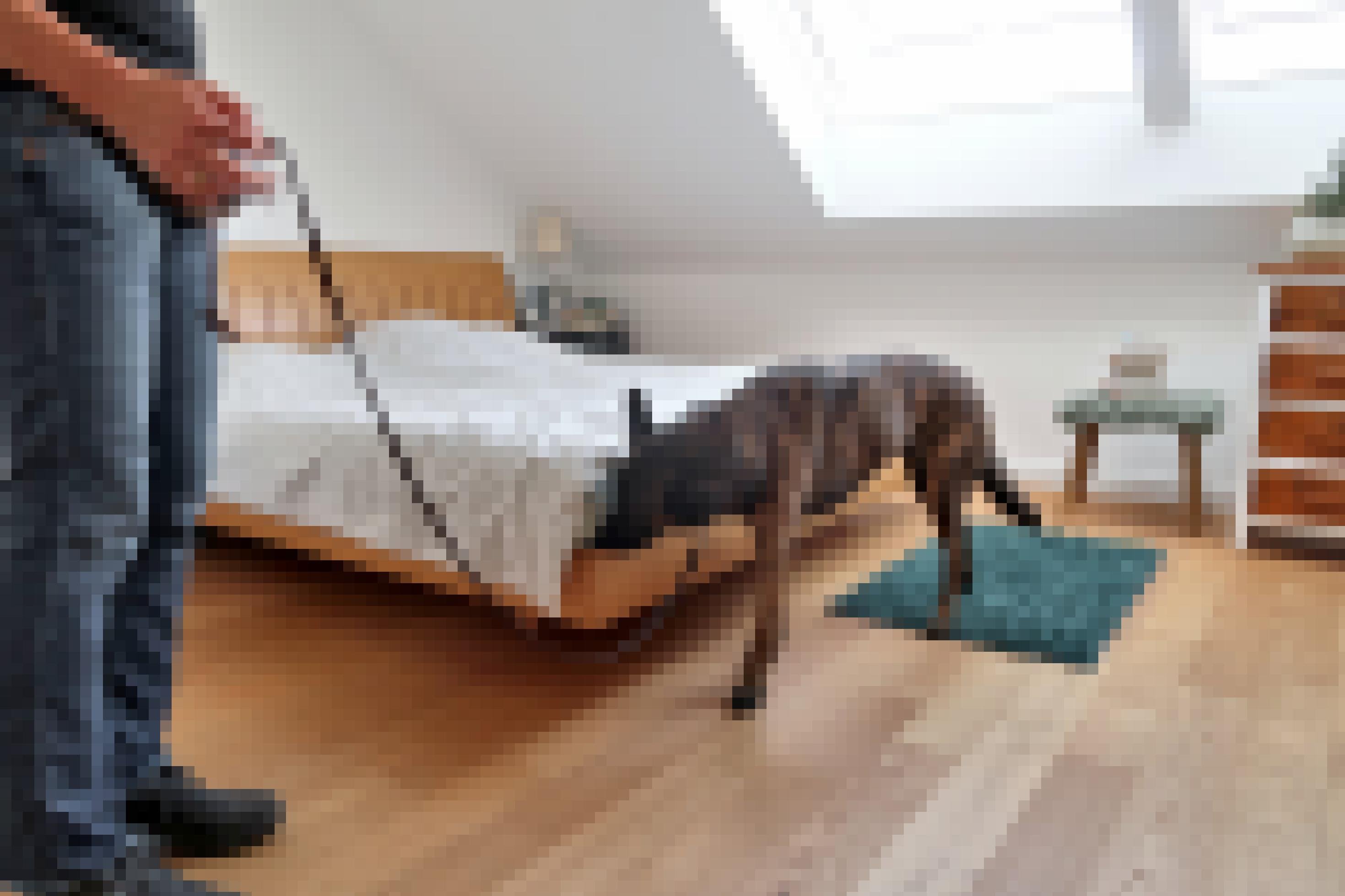 Schäferhund Rigo schnüffelt an einer Bettkante.