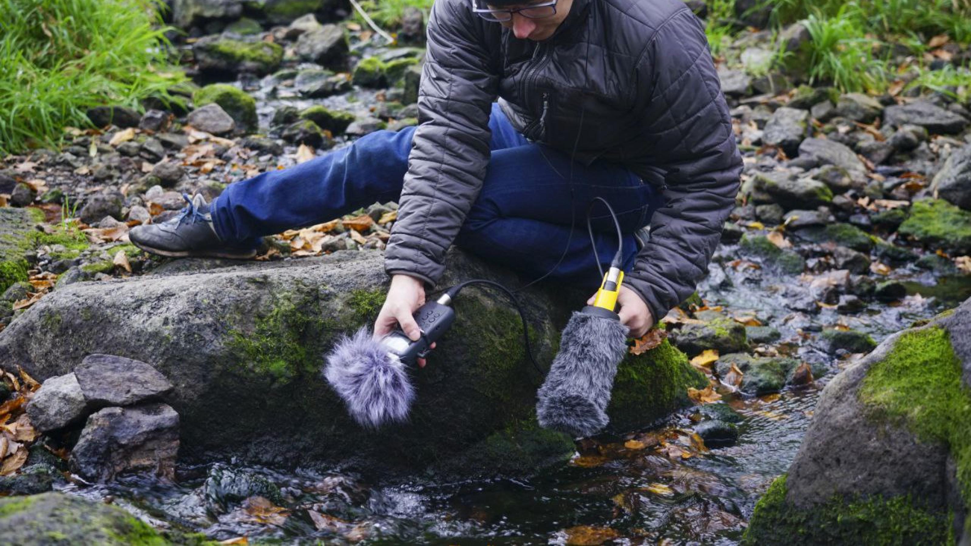 Wie sich Tierlaute für den Artenschutz nutzen lassen Wie sich Tierlaute für den Artenschutz nutzen lassen