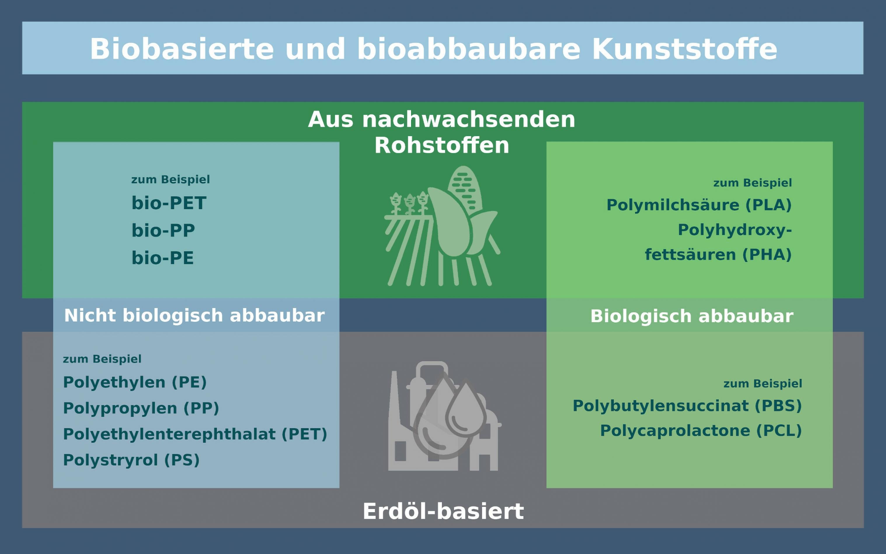 Schematische Übersicht über biobasierte und bioabbaubare Kunststoffe.