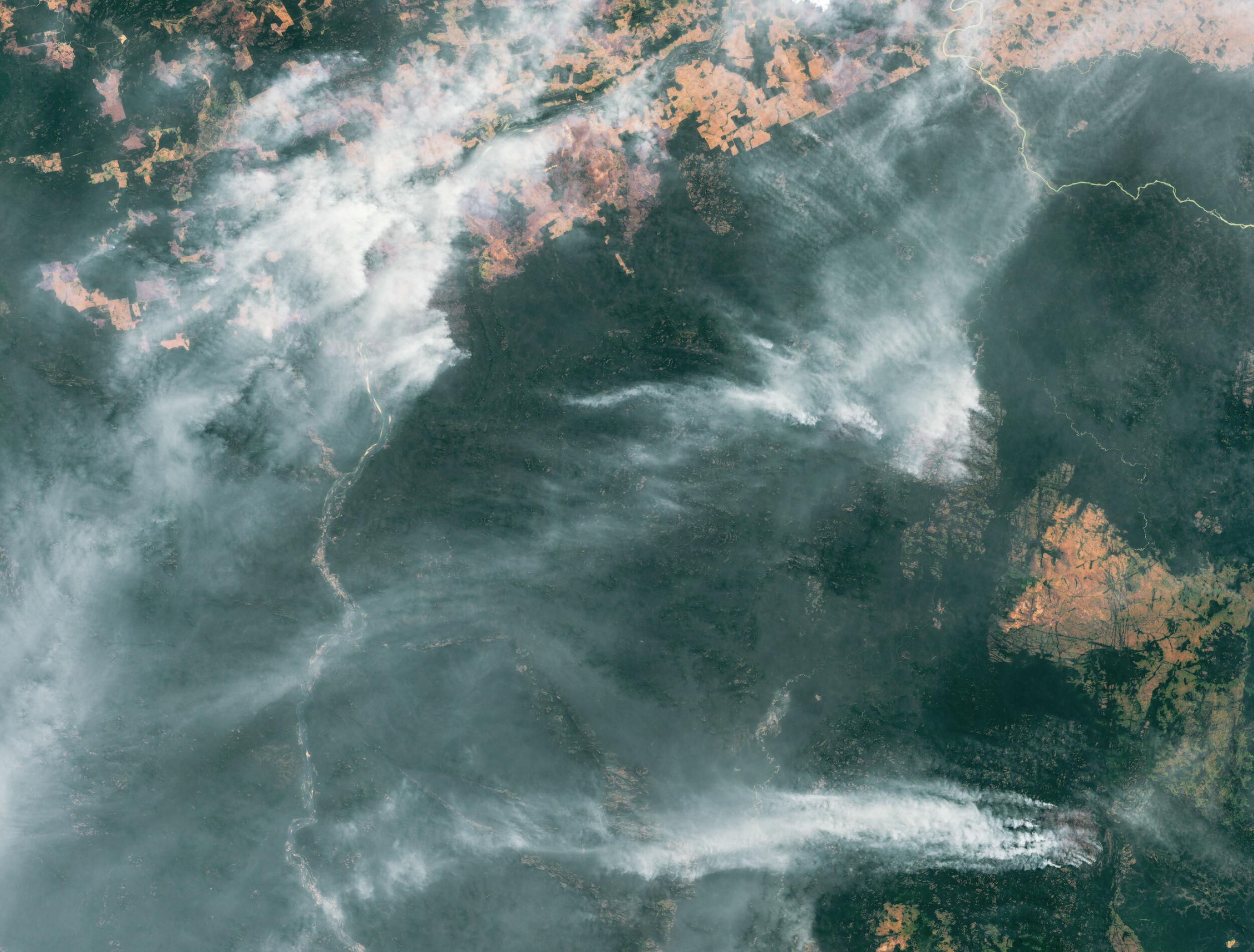 Satellitenbild zeigt Amazonas-Regenwald mit riesigen Rauchschwaden aus Waldbränden.