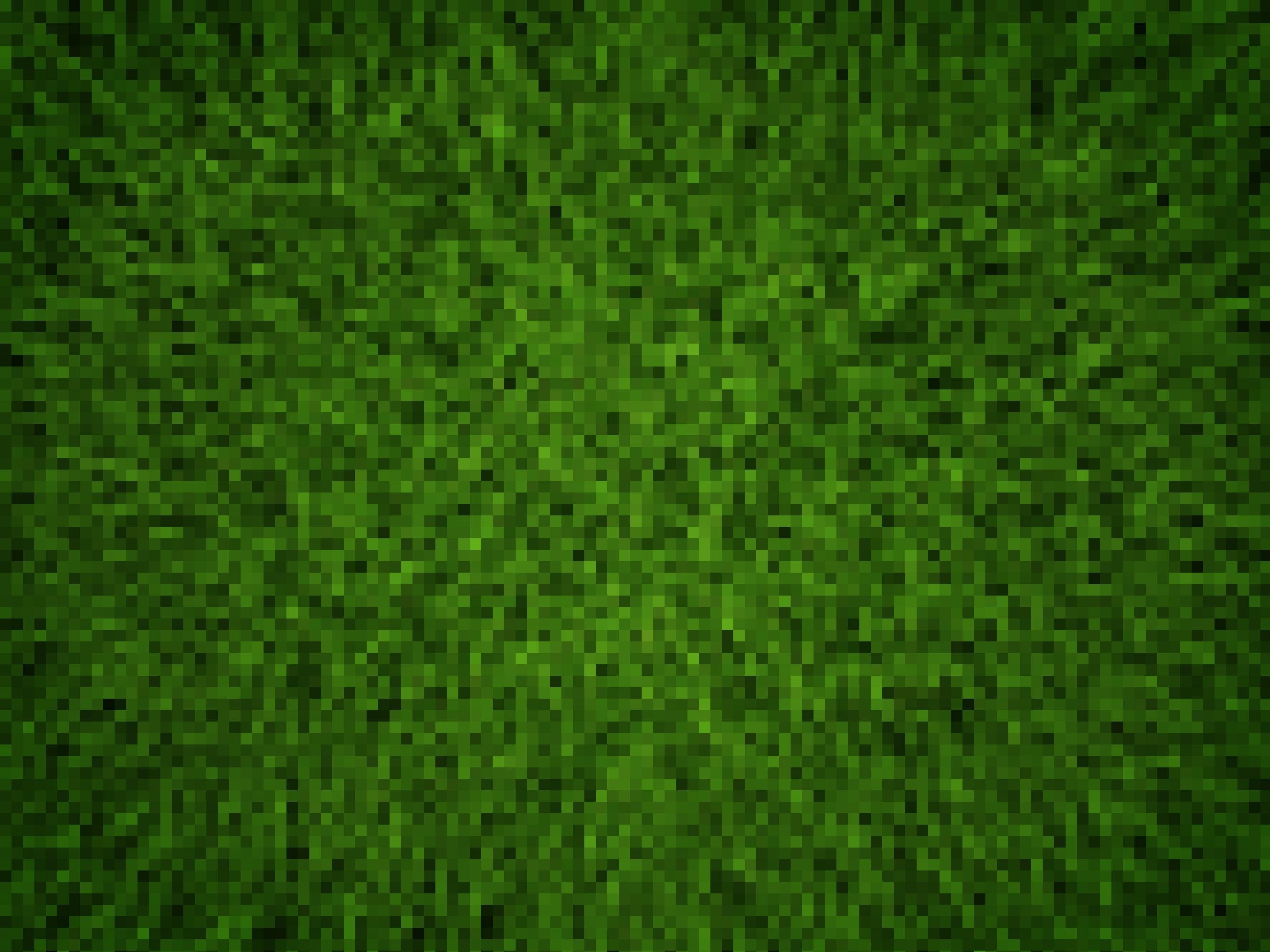 Gras von oben fotografiert, kein Blümlein zu sehen