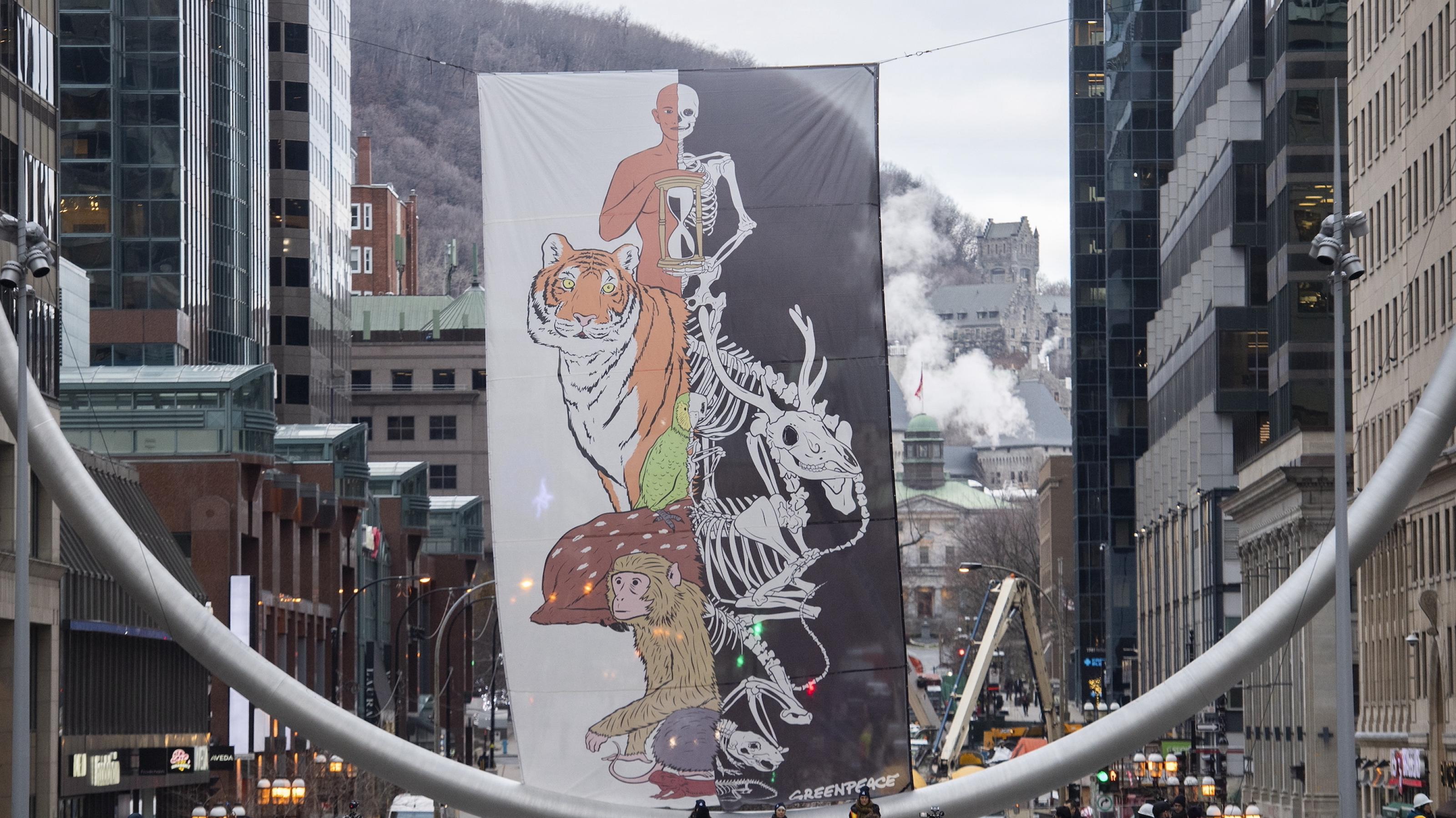 Winterliche Hauptstrasse in Montreal mit einem Banner, bei dem auf der linken Seite Lebewesen wie Mensch, Tiger und Affe zu sehen sind und auf der rechten Seite deren Skelette.