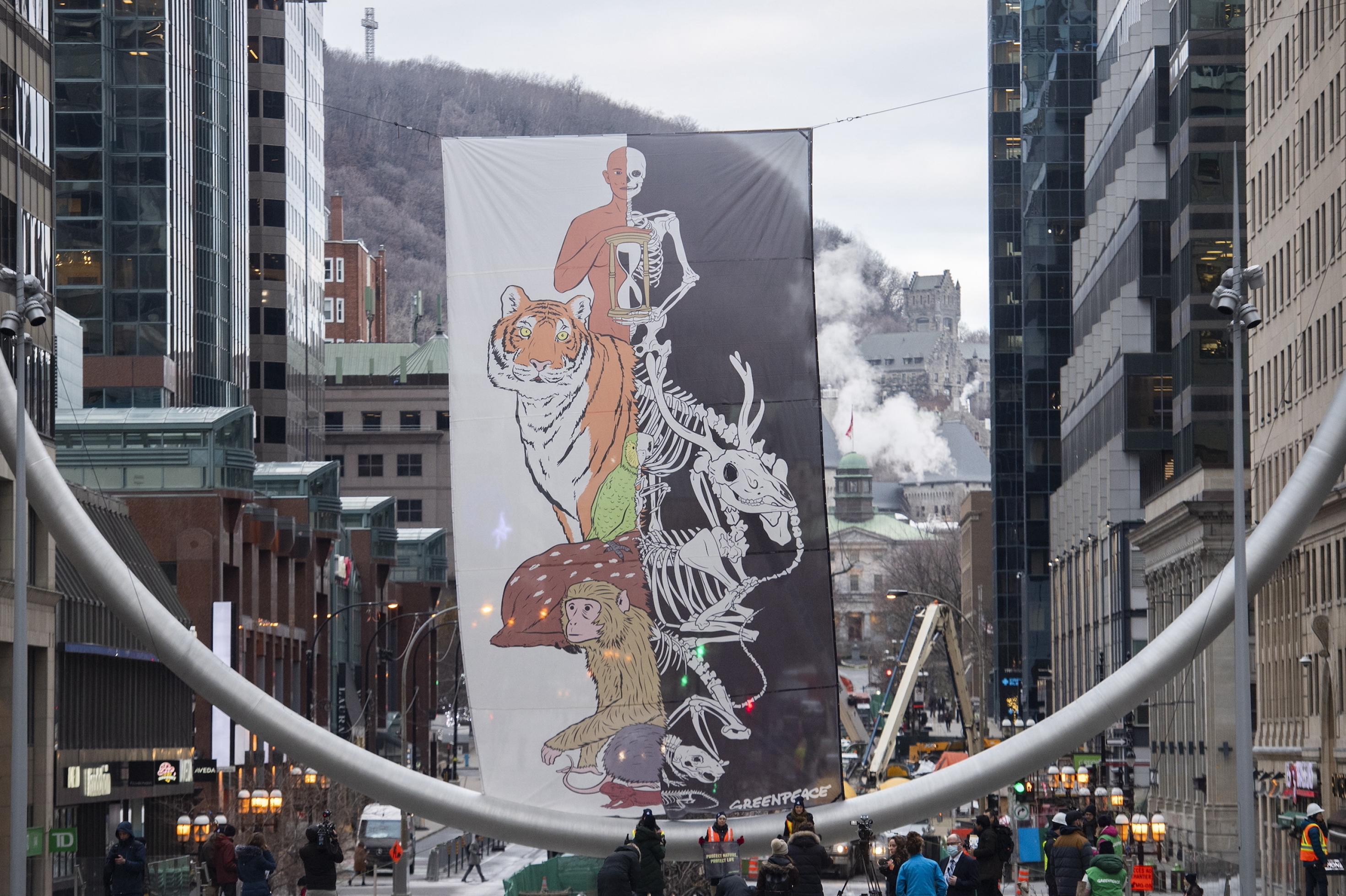 Winterliche Hauptstrasse in Montreal mit einem Banner, bei dem auf der linken Seite Lebewesen wie Mensch, Tiger und Affe zu sehen sind und auf der rechten Seite deren Skelette.